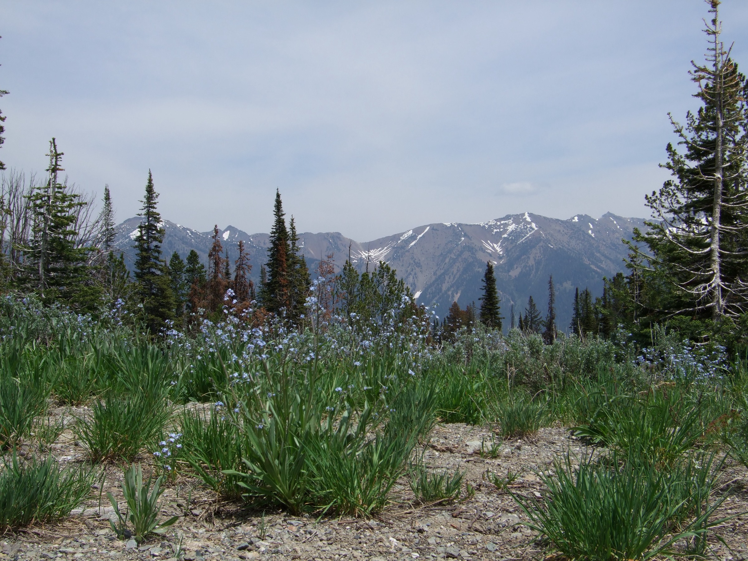 USA — Boulder Mountains, Idaho: essential day-hikes
