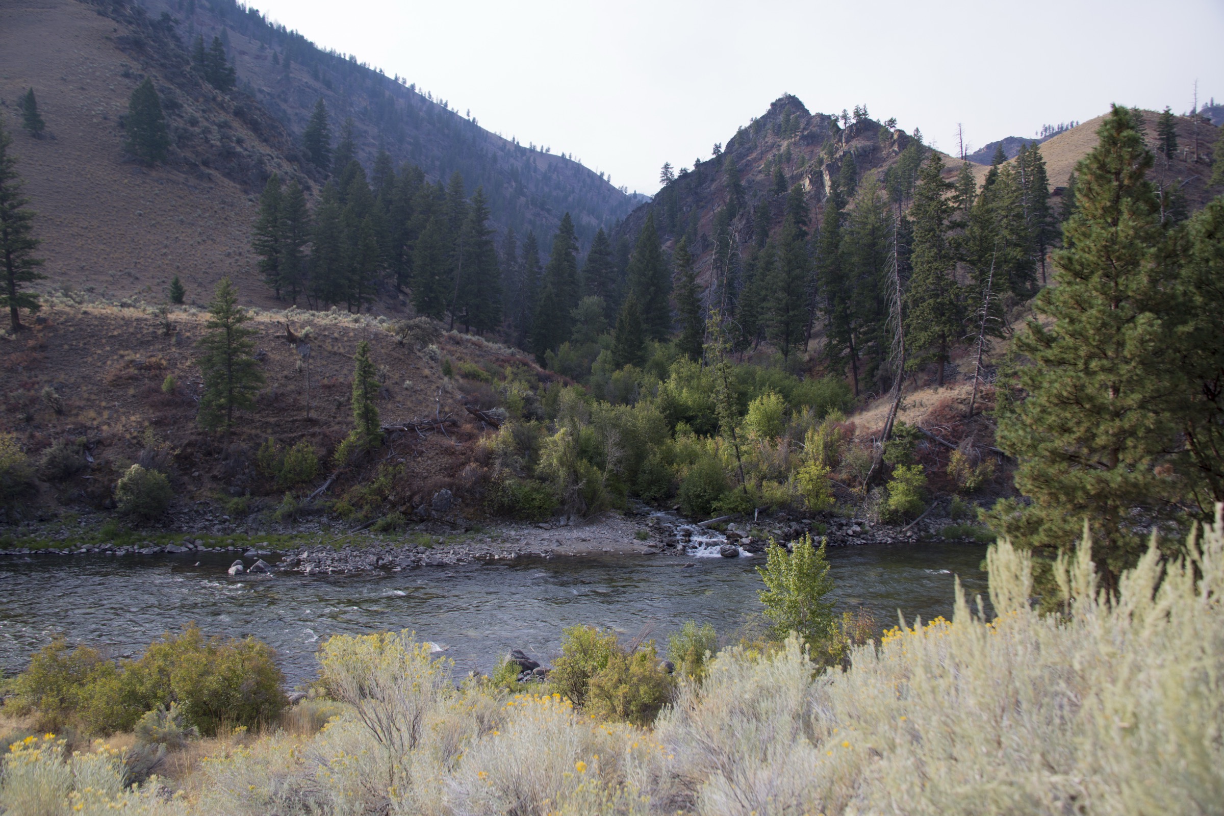 USA — Frank Church / River of No Return: essential day-hikes