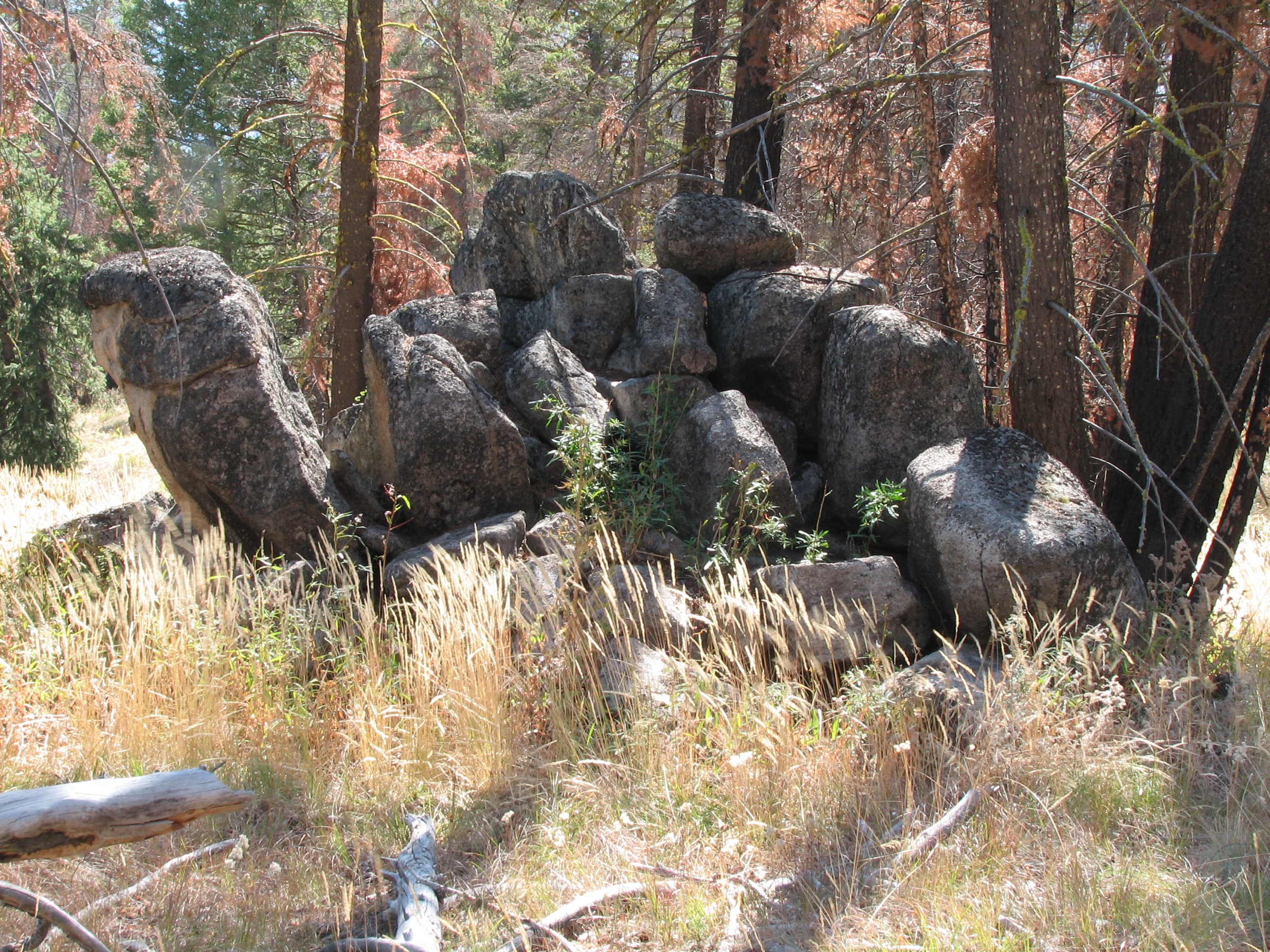 Aiguilles de granite dans la Frank Church-River of No Return Wilderness, Idaho
