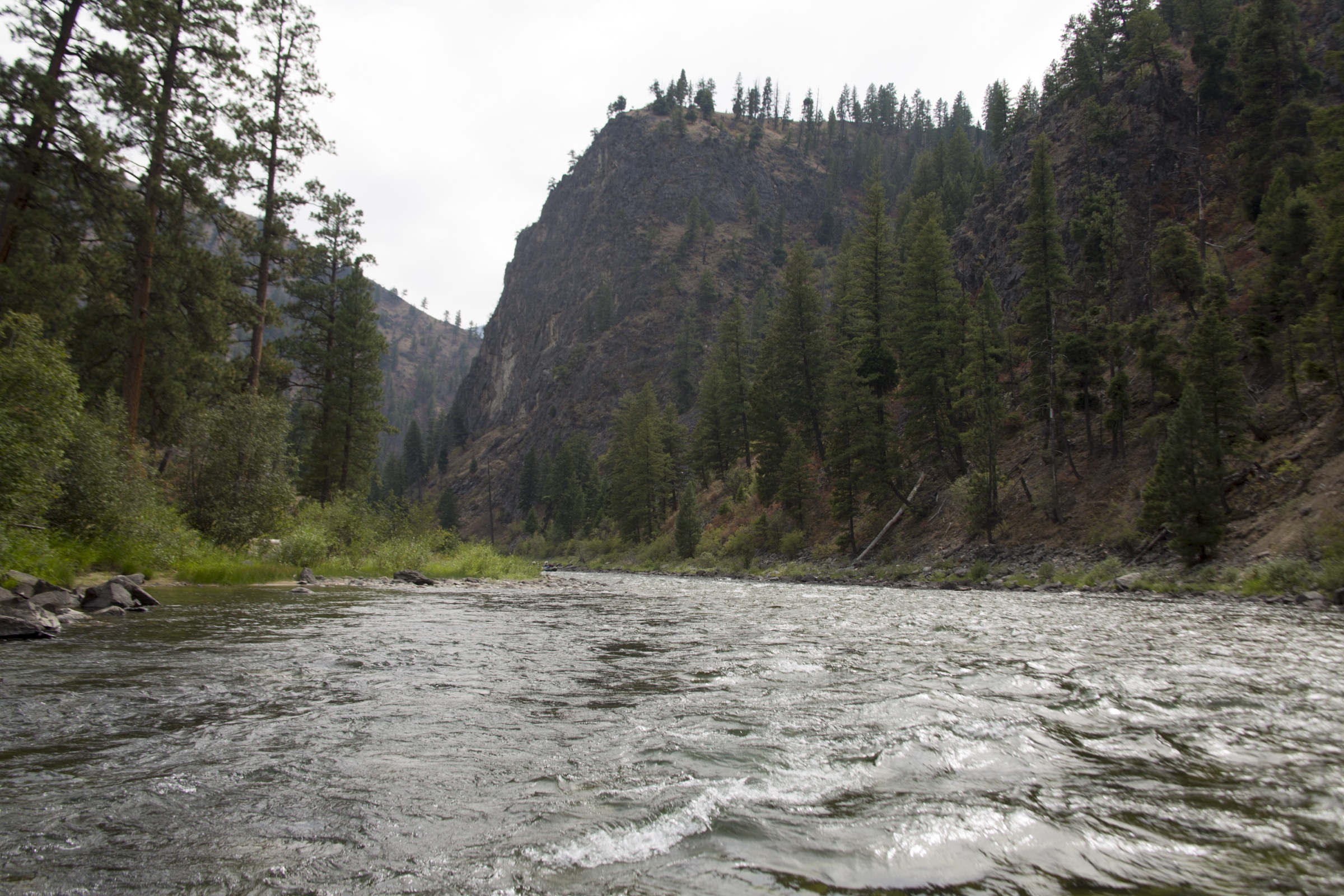 Le canyon de la Middle Fork of the Salmon River dans la Frank Church Wilderness