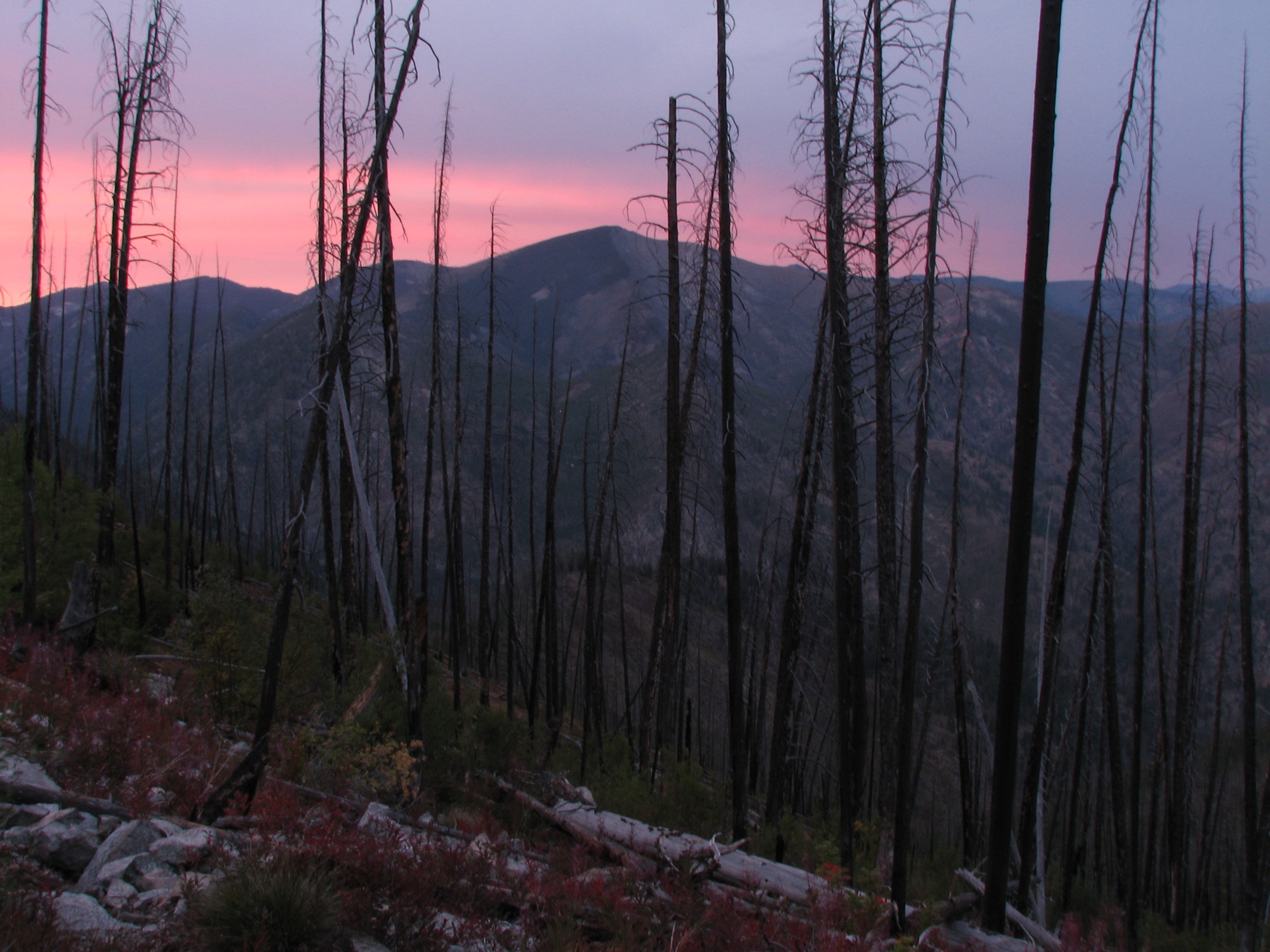 Coucher de soleil sur la Frank Church-River of No Return Wilderness au centre de l'Idaho