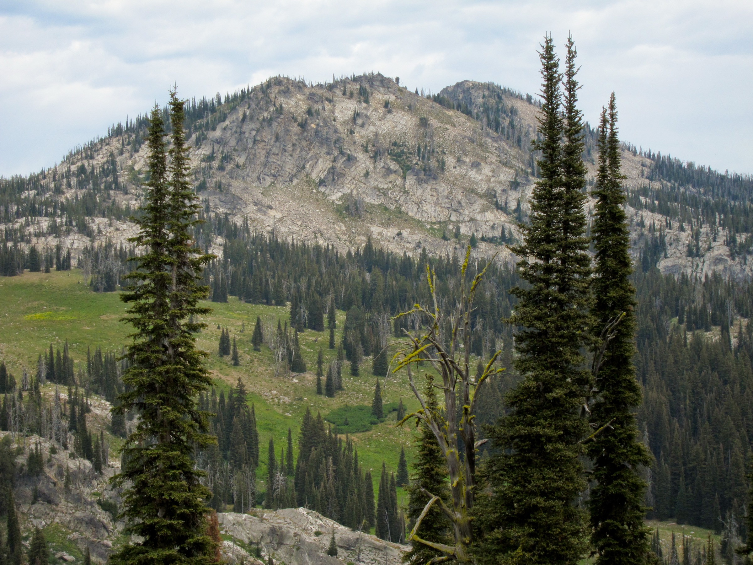 View along the Boulder-Louie lakes loop in the Payette National Forest
