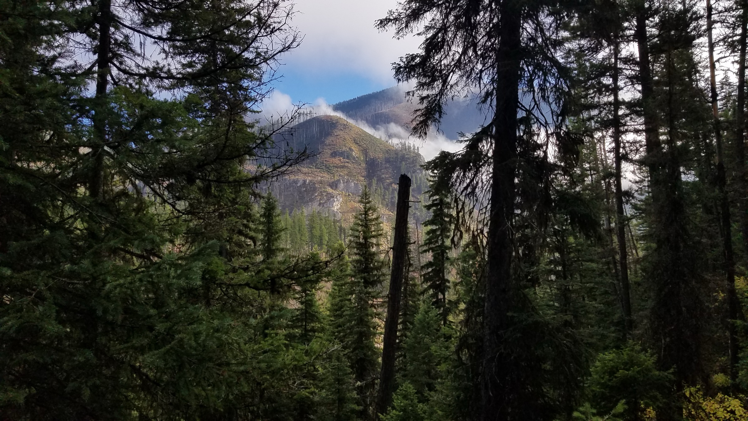 USA — Bob Marshall Wilderness, Montana: essential day-hikes