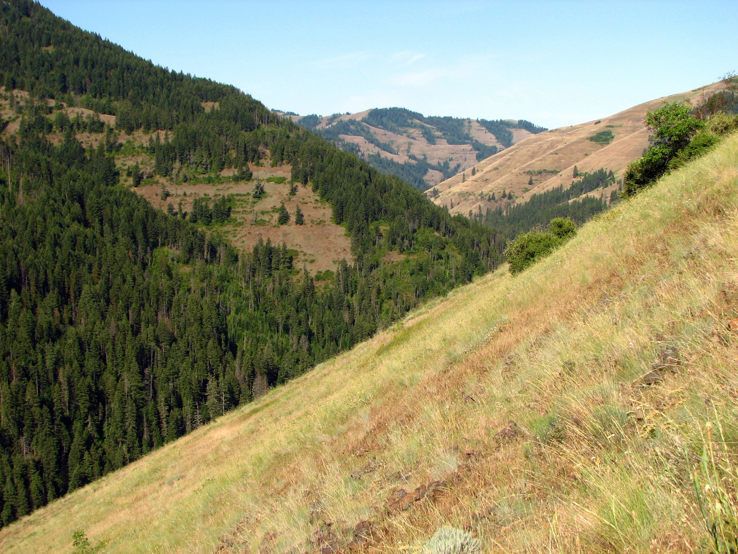 North Fork Umatilla Wilderness in the Blue Mountains, Oregon