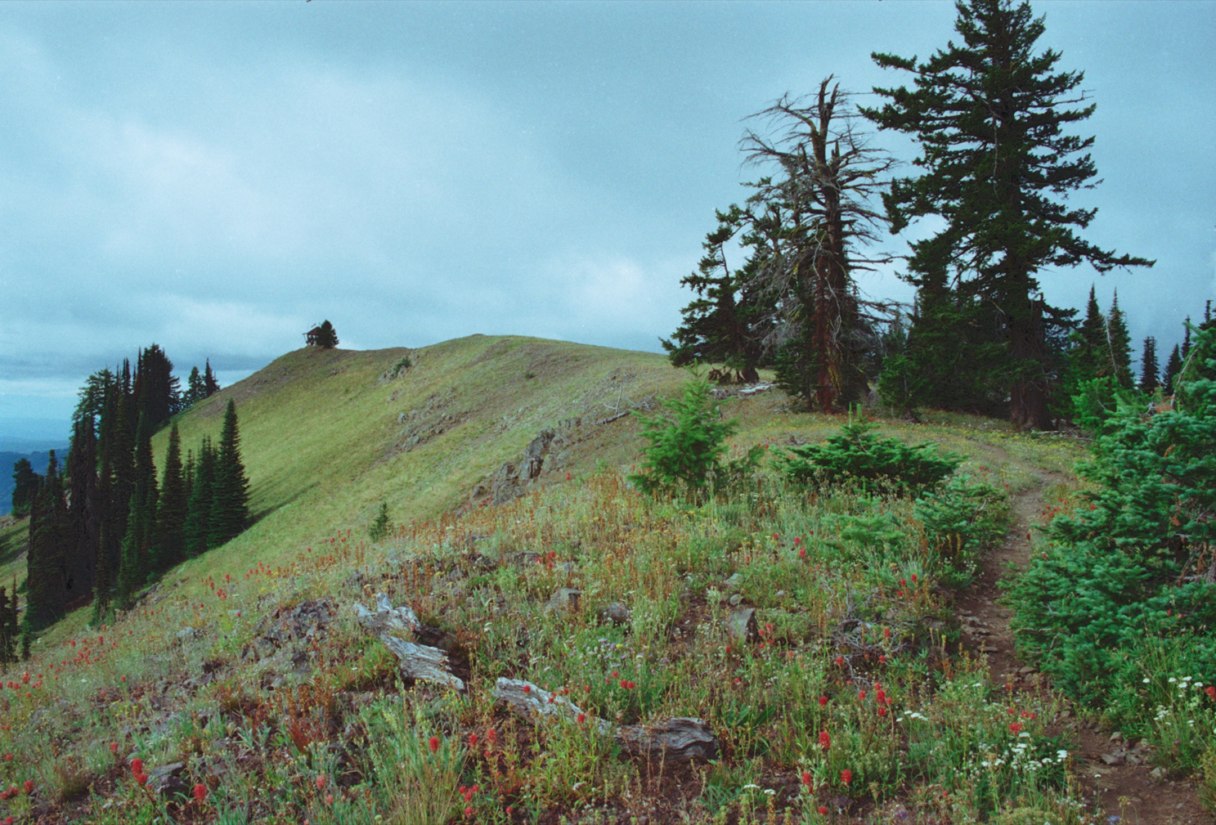 Oregon Butte Lookout in the Wenaha-Tucannon Wilderness, Washington