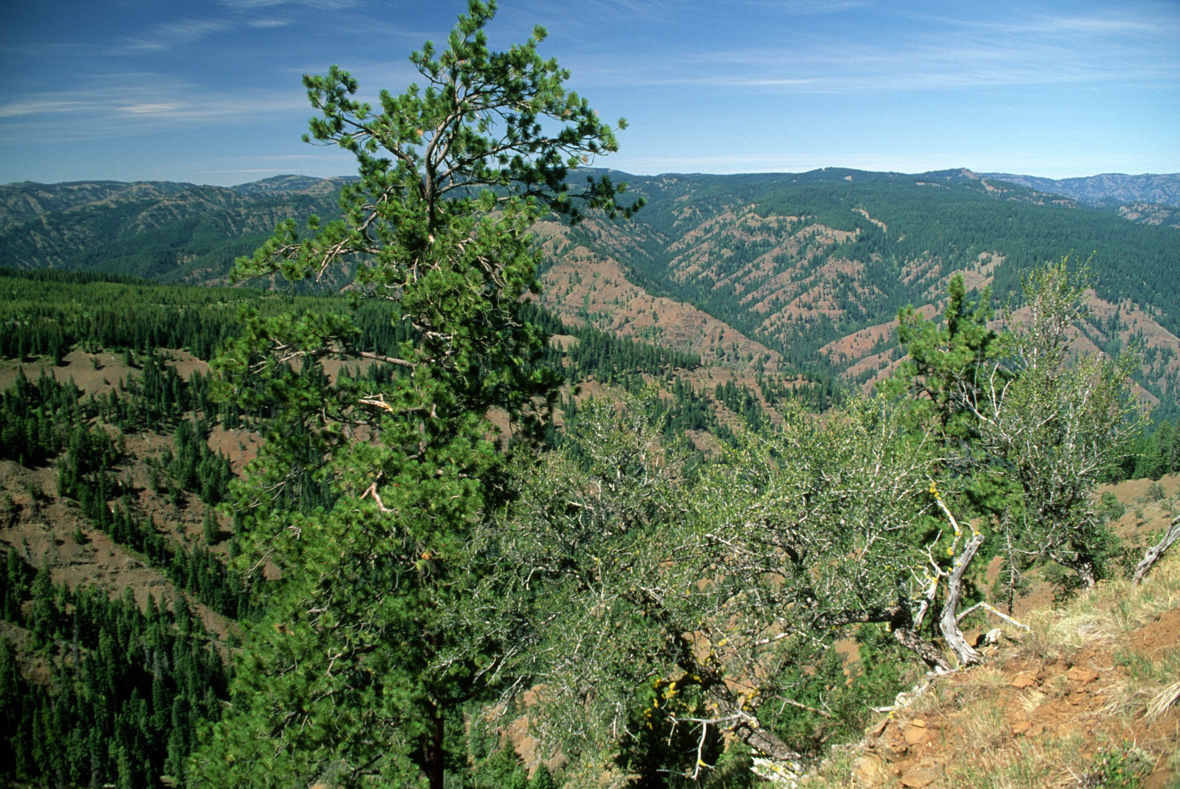 Wenaha River country in the Wenaha-Tucannon Wilderness of the Blue Mountains