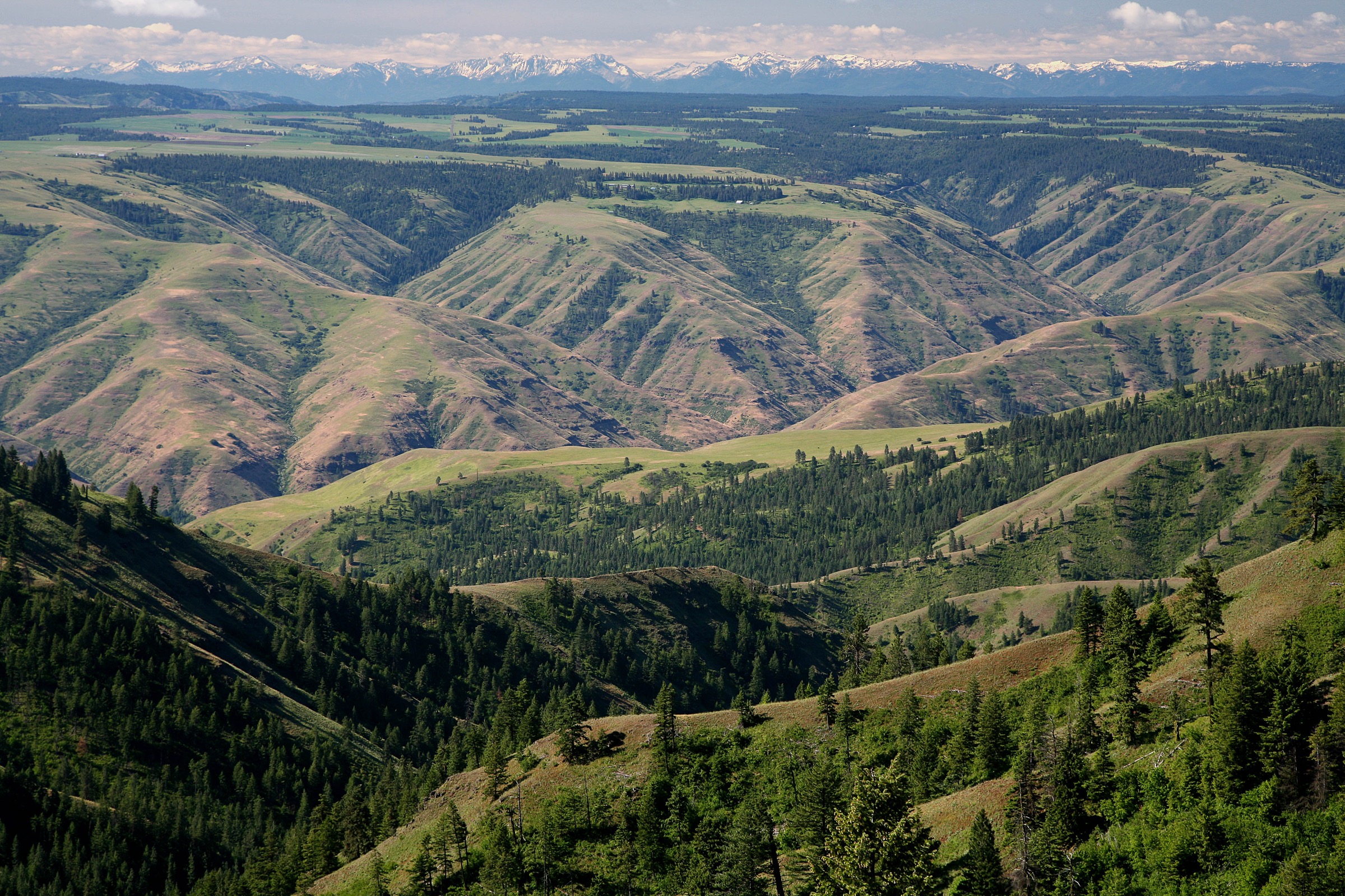 USA — Elkhorn Mountains, Oregon: essential day-hikes