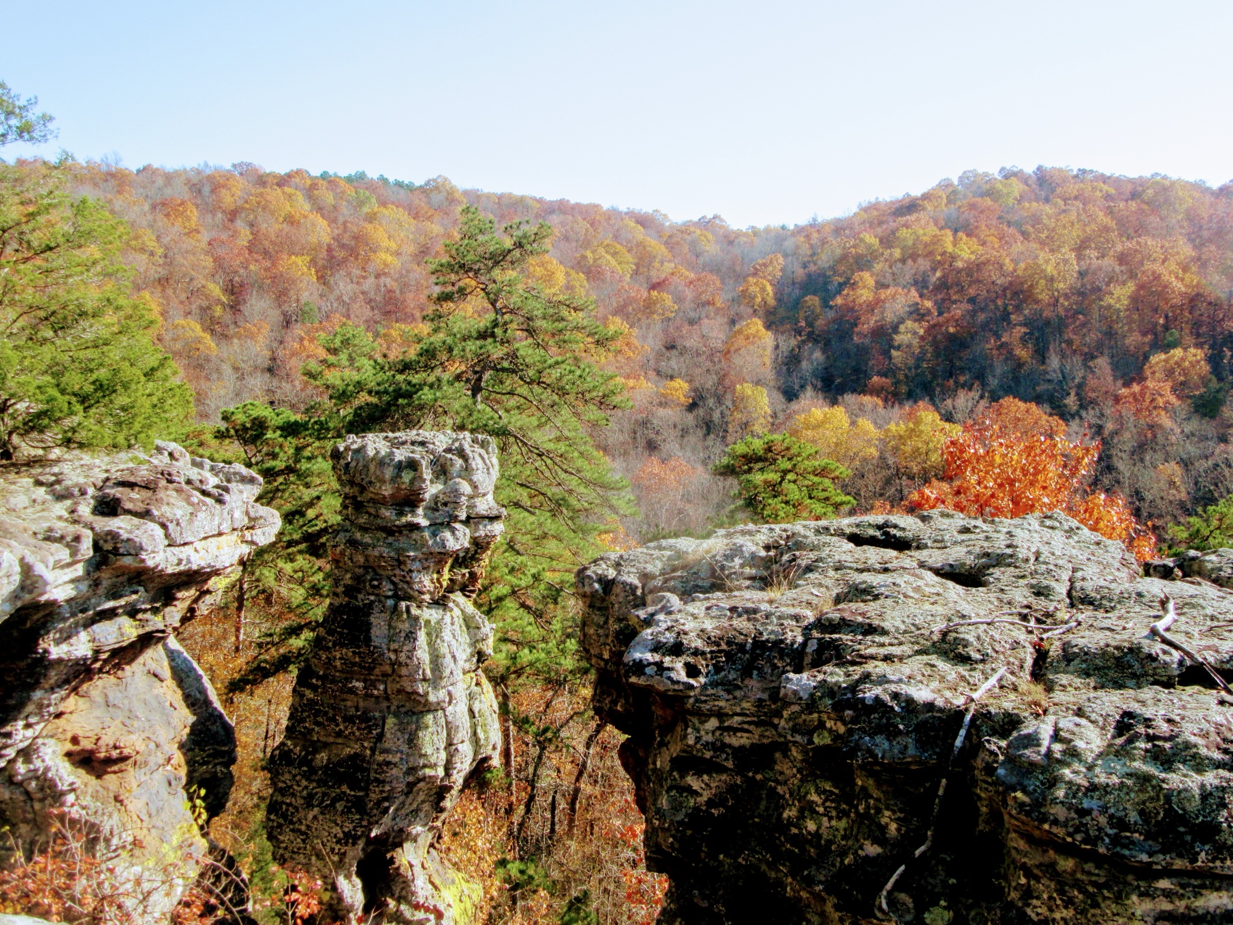 A mushroom-shaped freestanding sandstone pedestal column at Pedestal Rocks Scenic Area, Ozark National Forest, Arkansas