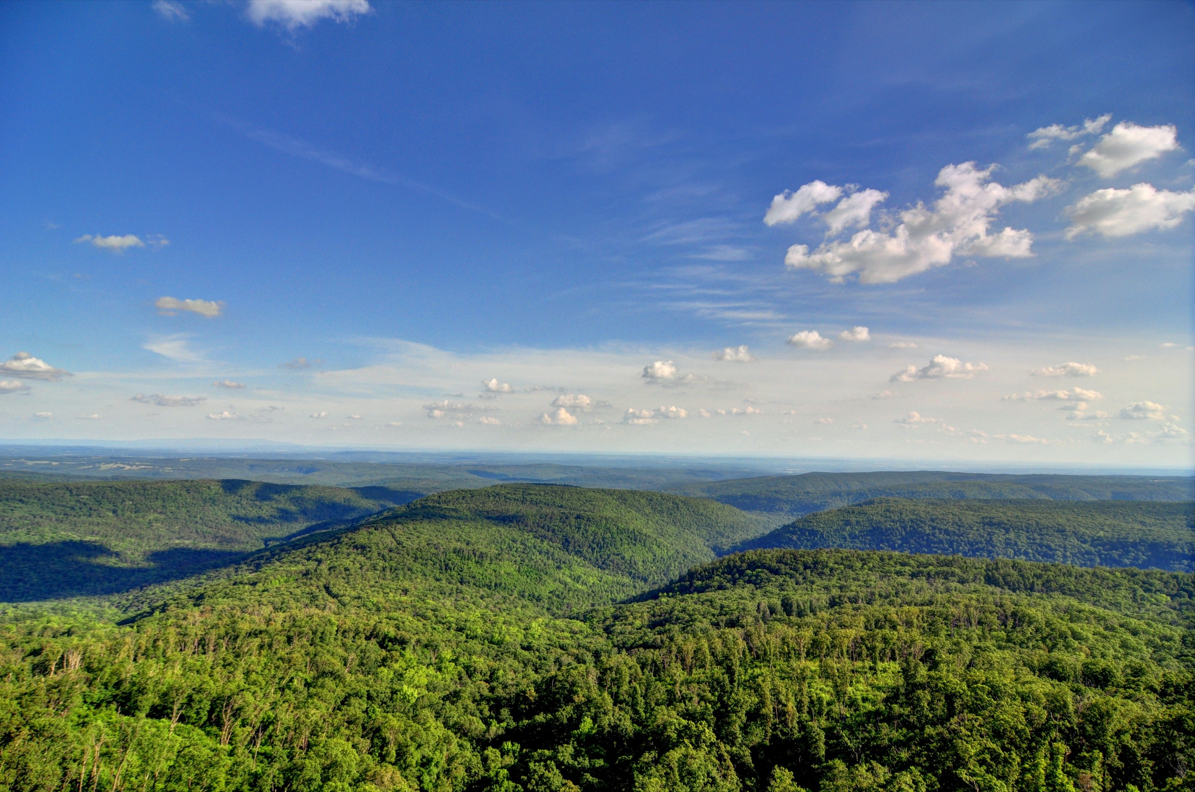Panoramic view from the rim of White Rock Mountain, Ozark National Forest, Arkansas