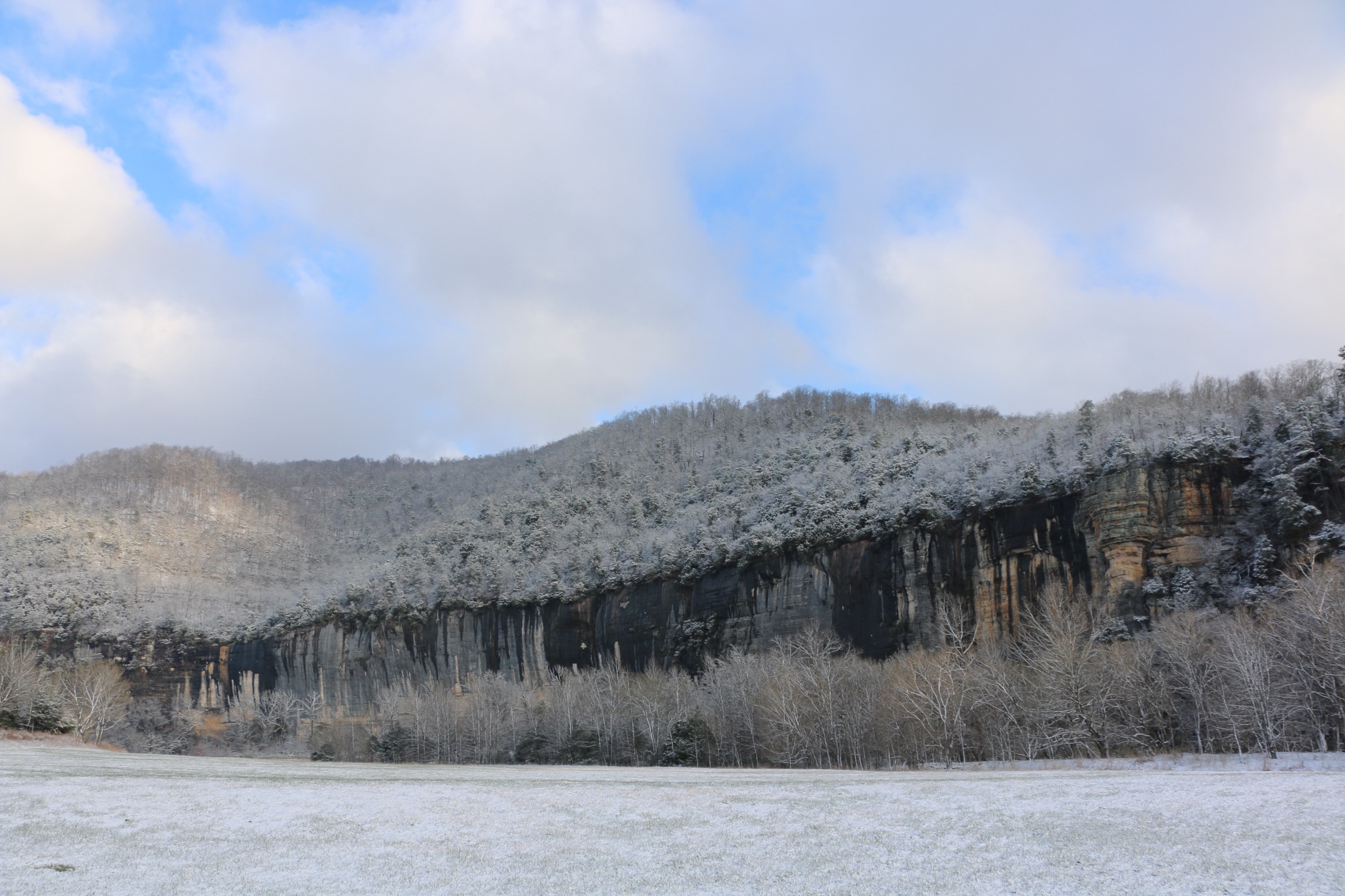 Roark Bluff in winter, a representative Buffalo National River sandstone bluff-line
