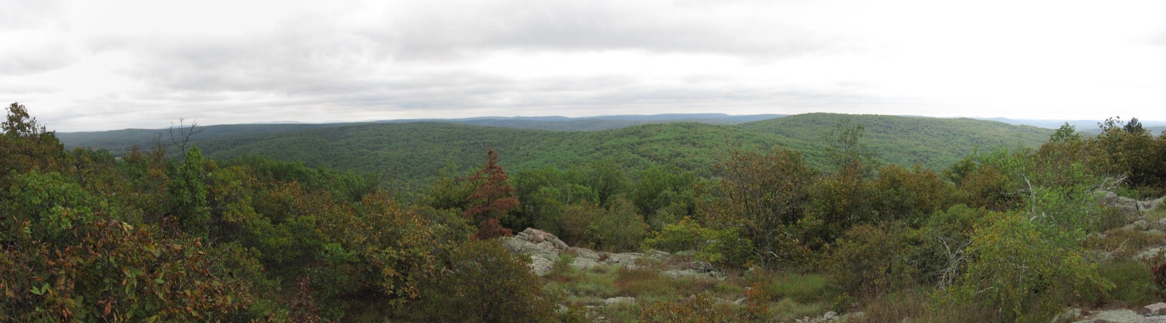 Vue panoramique vers l'est jusqu'à Lindsey Mountain depuis une clairière ouverte sur Bell Mountain