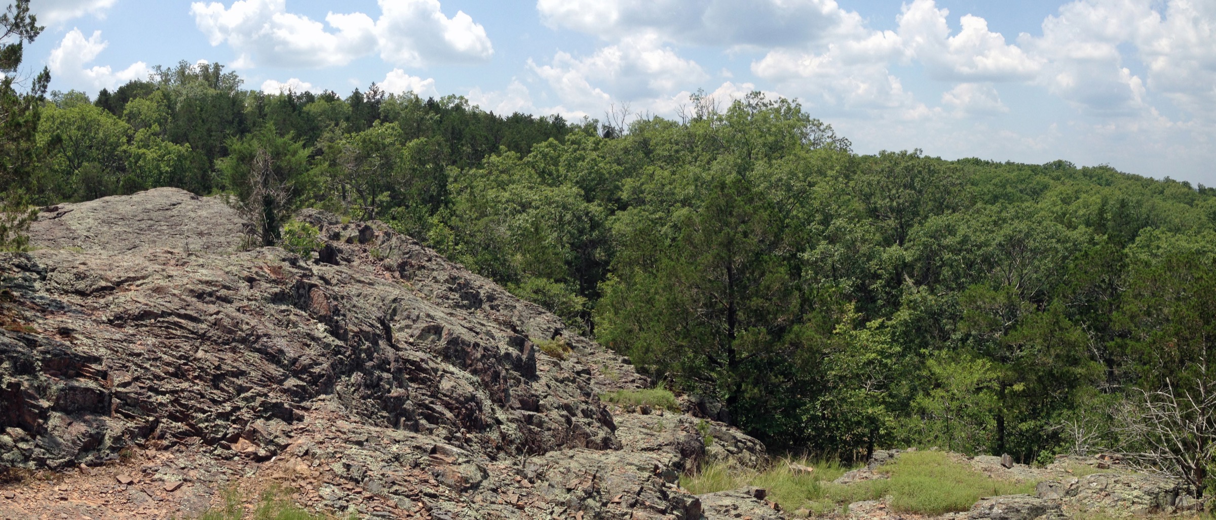 The columnar-jointed rhyolite summit glade at Hughes Mountain, known as the Devil's Honeycomb