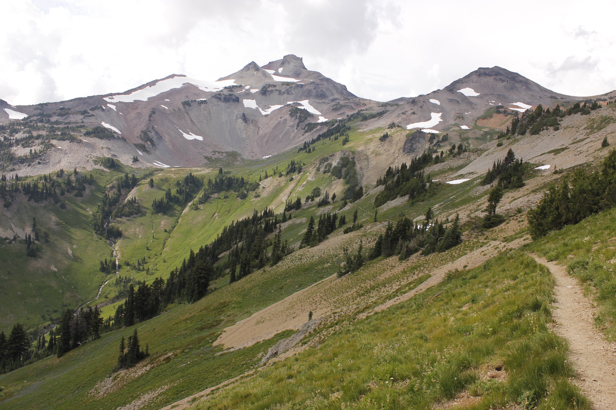 Ives Peak et le bassin de la Cispus River dans la Goat Rocks Wilderness