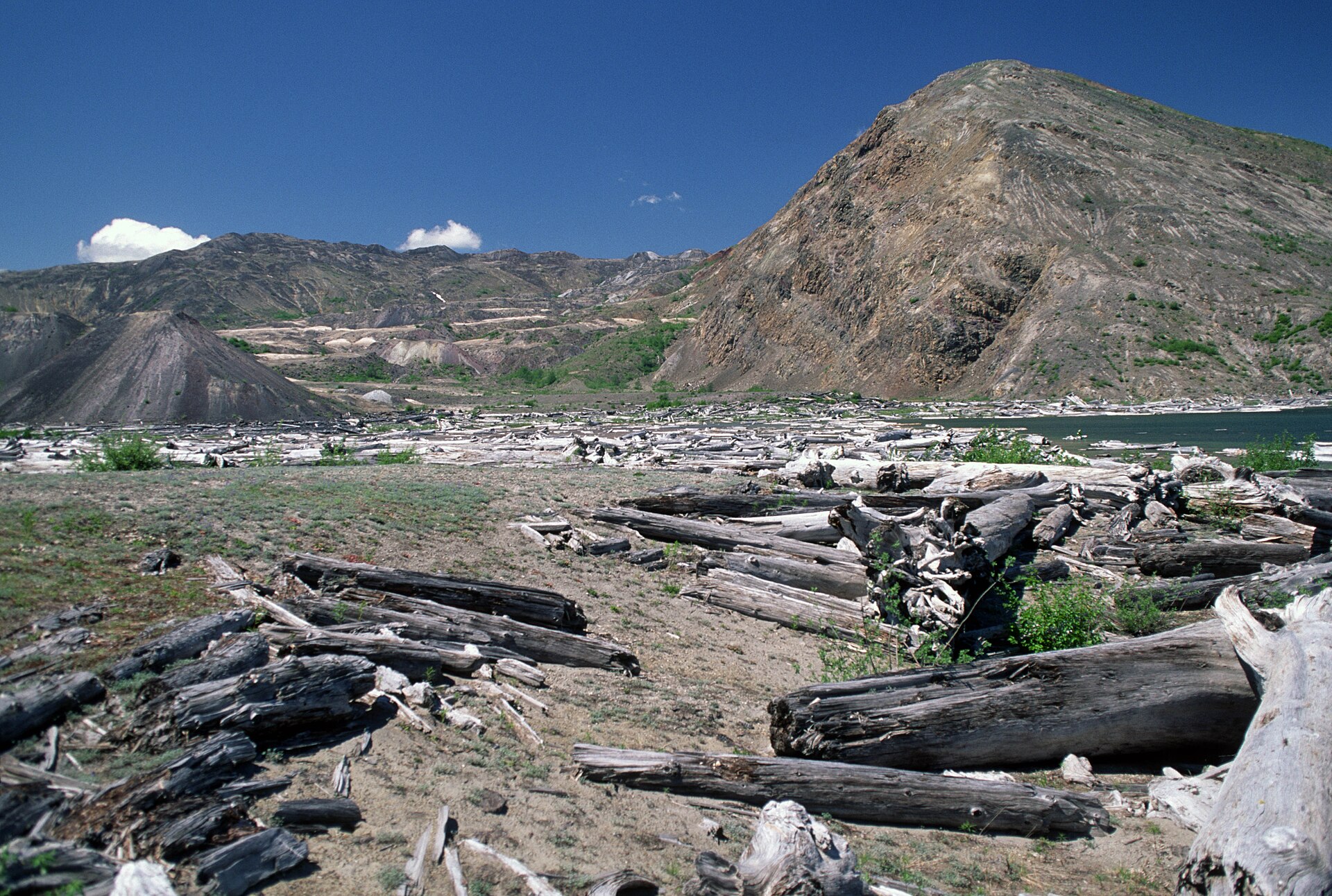 The log raft still floating on Spirit Lake below Mount St Helens