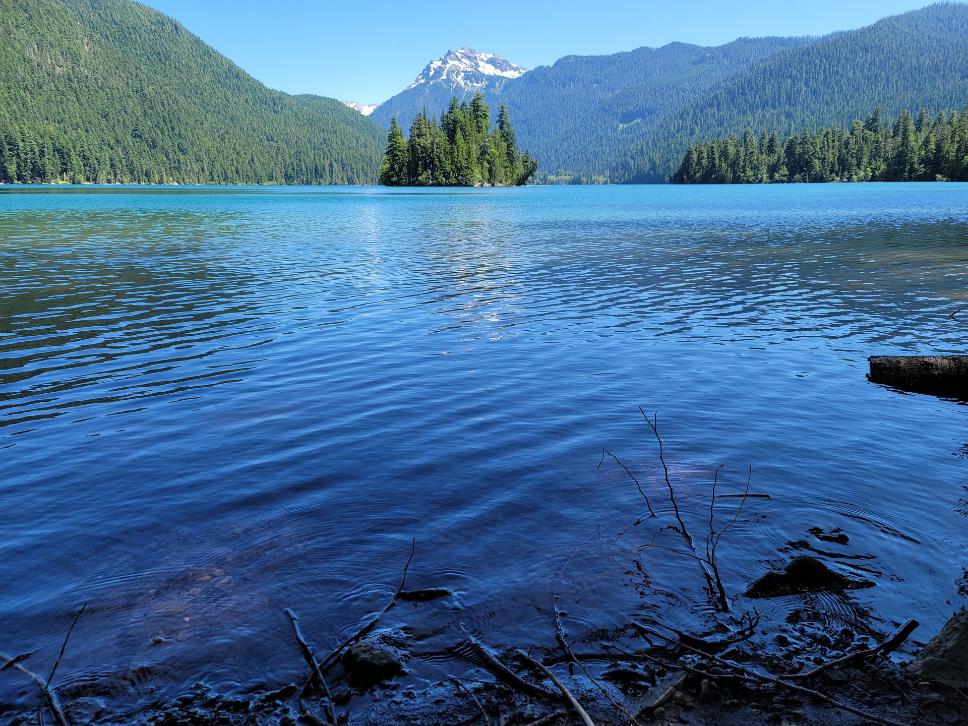 Packwood Lake seen from its north-east shore, with wooded Agnes Island offshore and Johnson Peak rising behind