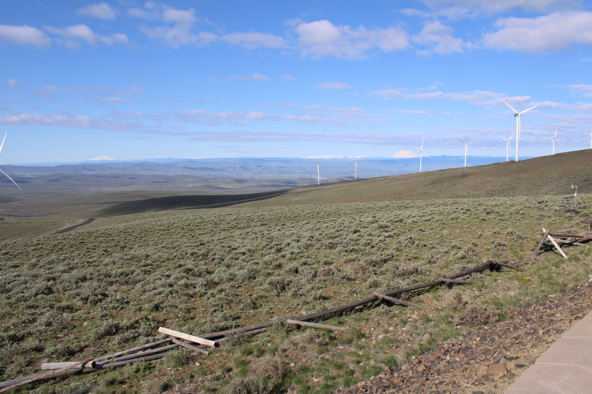Distant panorama of the Cascade Range showing Mount Rainier, the Goat Rocks, Mount St Helens, Mount Adams and Mount Hood