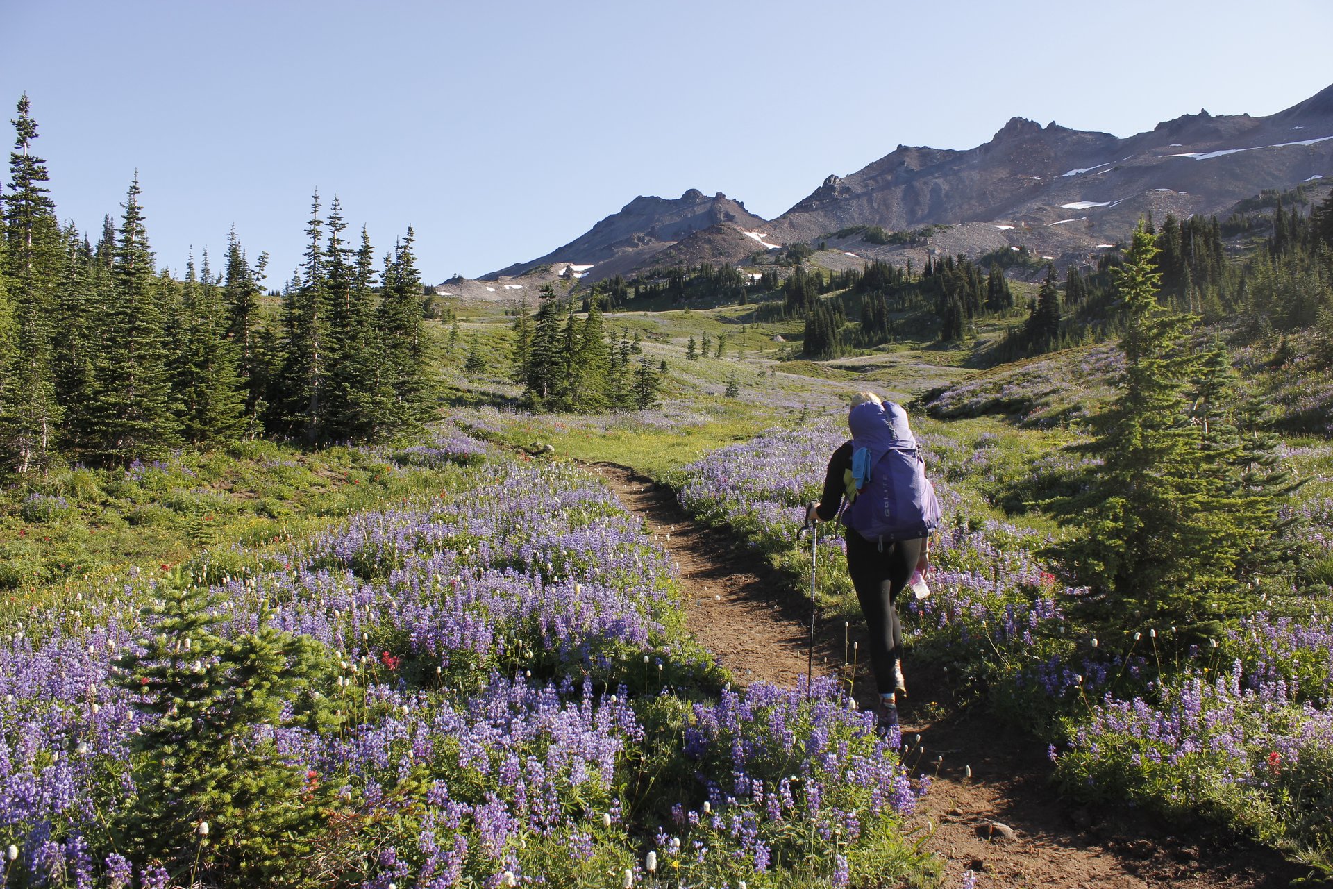 A hiker on the Pacific Crest Trail looking toward Snowgrass Flat in the Goat Rocks Wilderness