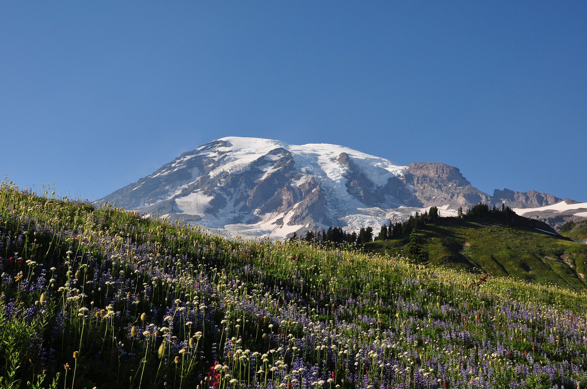 USA — Mount Rainier : randonnées à la journée essentielles