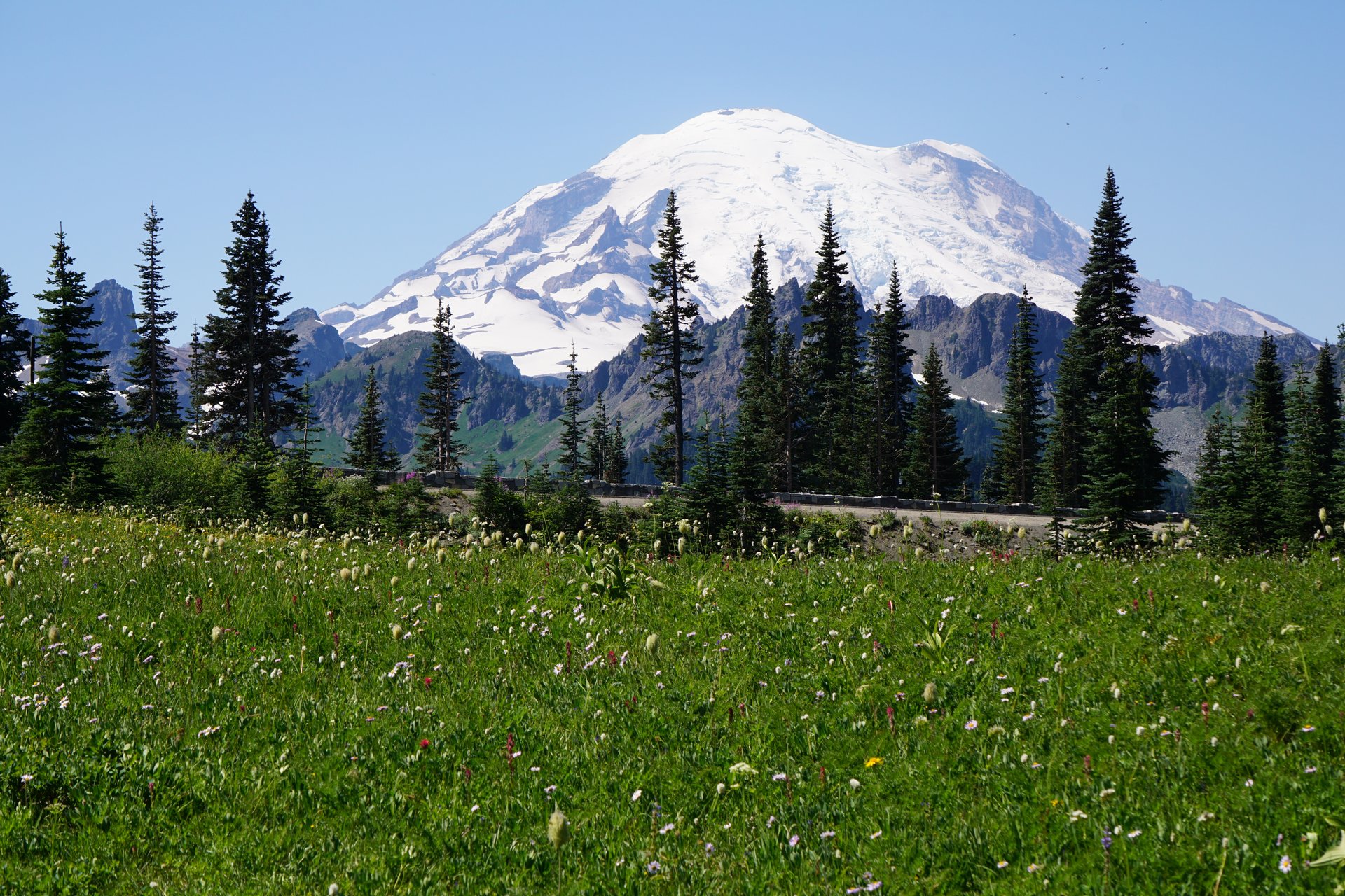 Le Mount Rainier dominant les prairies fleuries autour de Tipsoo Lake, près de Chinook Pass