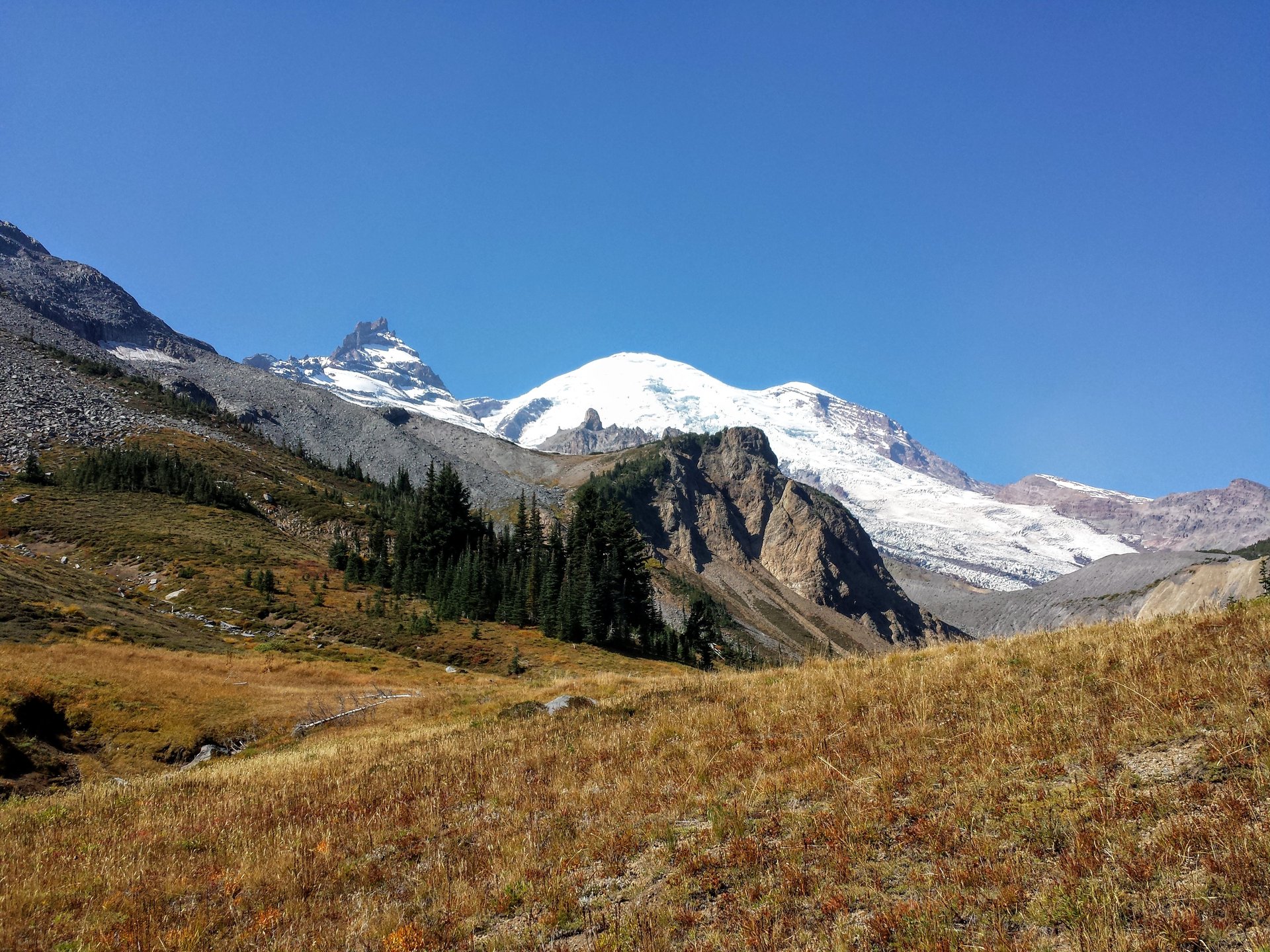 Le Mount Rainier vu par-dessus les prairies subalpines ouvertes de Summerland