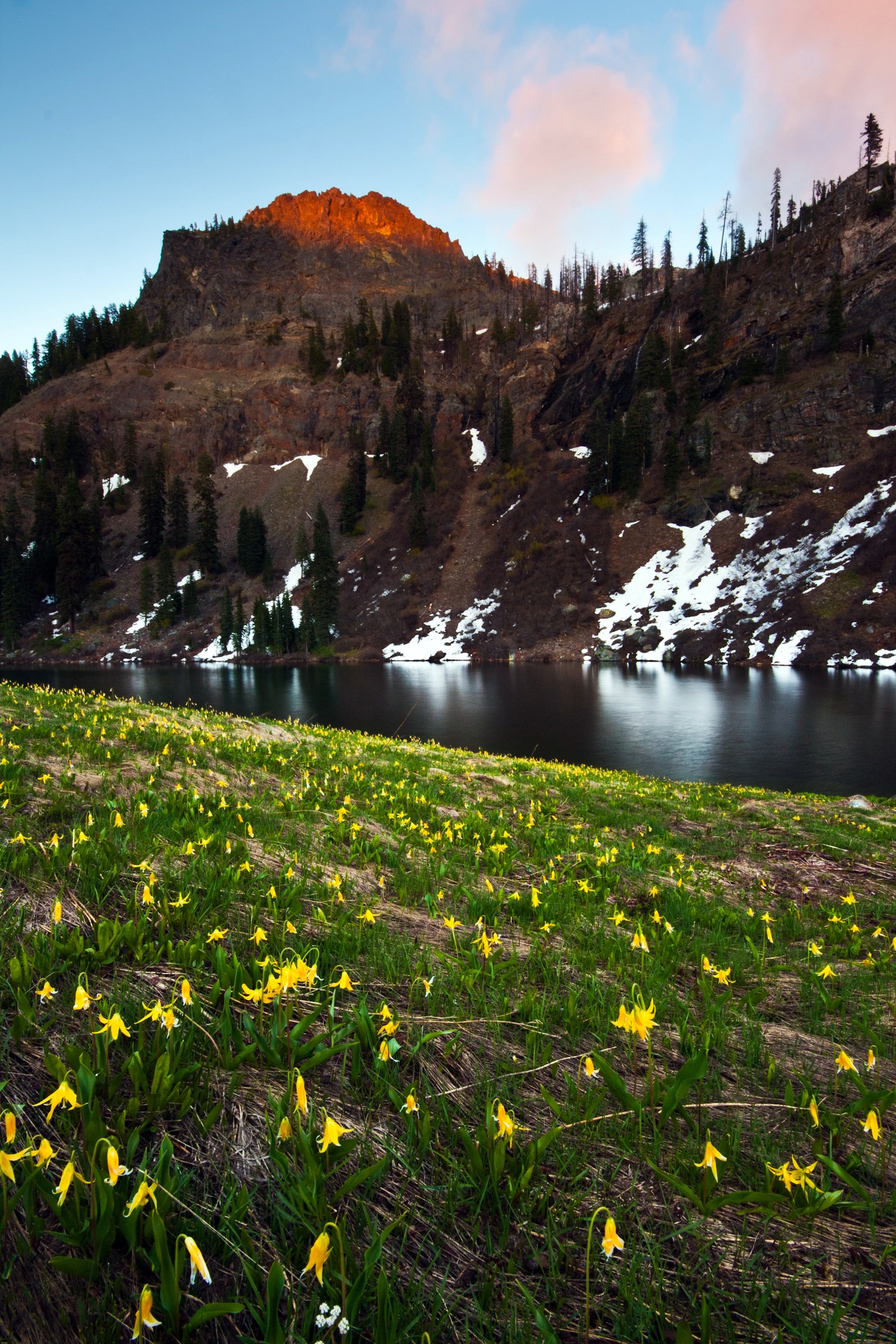 Lueur alpine sur le sommet dominant Sky High Lakes, avec des érythrones des montagnes au premier plan