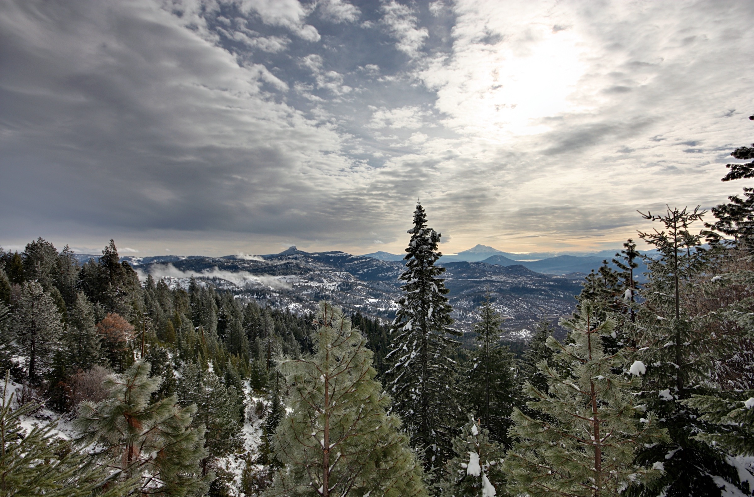 Mount Shasta rising above the Klamath basin, seen from the summit ridge of Mount Ashland