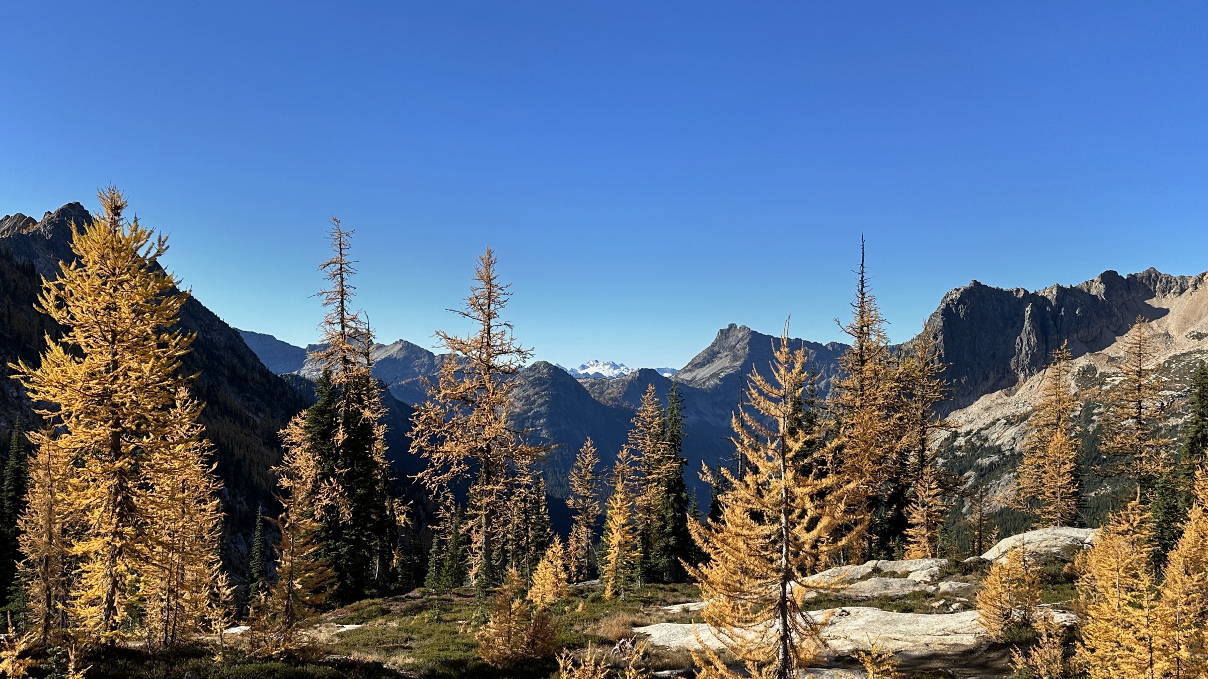 Mélèzes dorés et crêtes à Cutthroat Pass, North Cascades