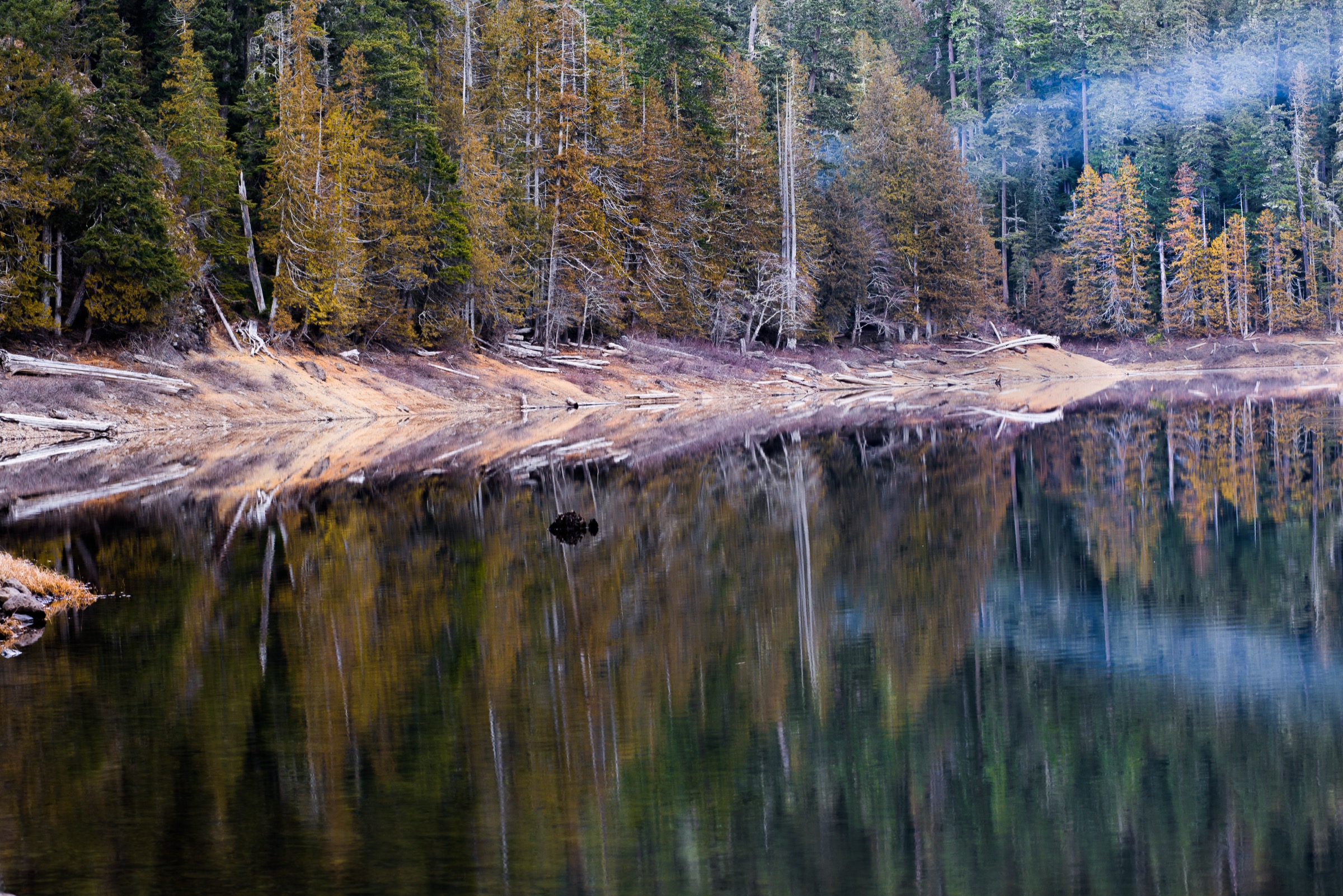Lower Lena Lake entouré de vieille forêt avec un reflet matinal