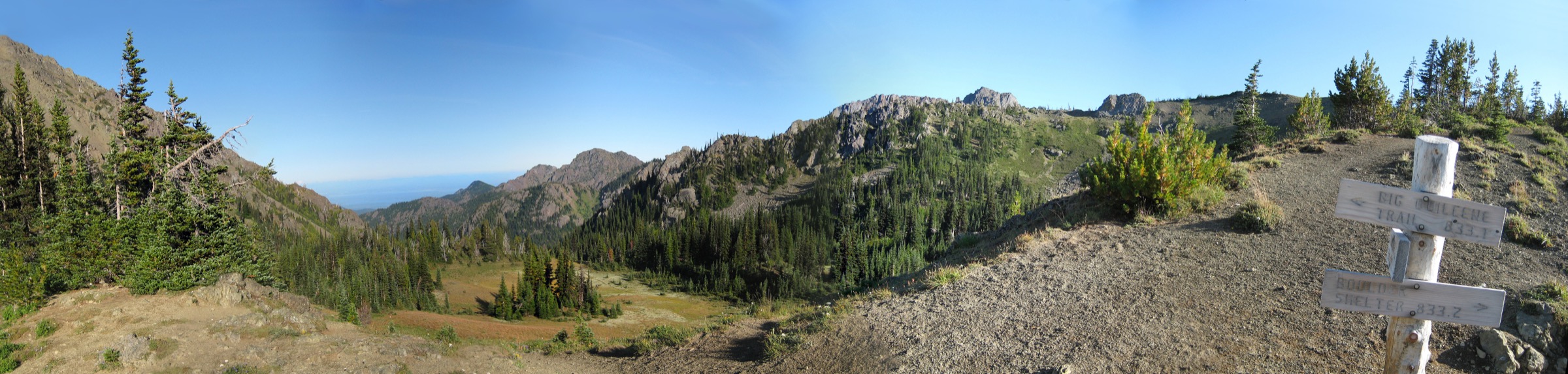 Panorama depuis Marmot Pass avec Buckhorn Mountain, Iron Mountain et l'intérieur des Olympics
