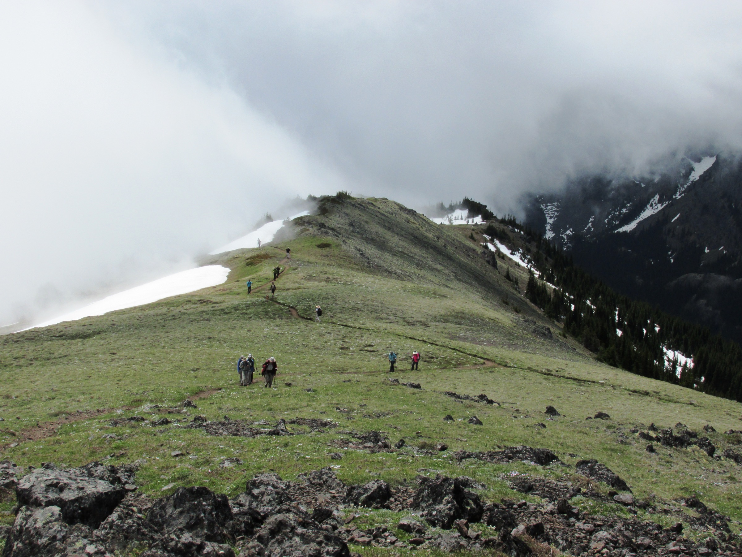 Randonneurs gravissant le Mount Townsend avec prairie subalpine et Puget Sound au loin