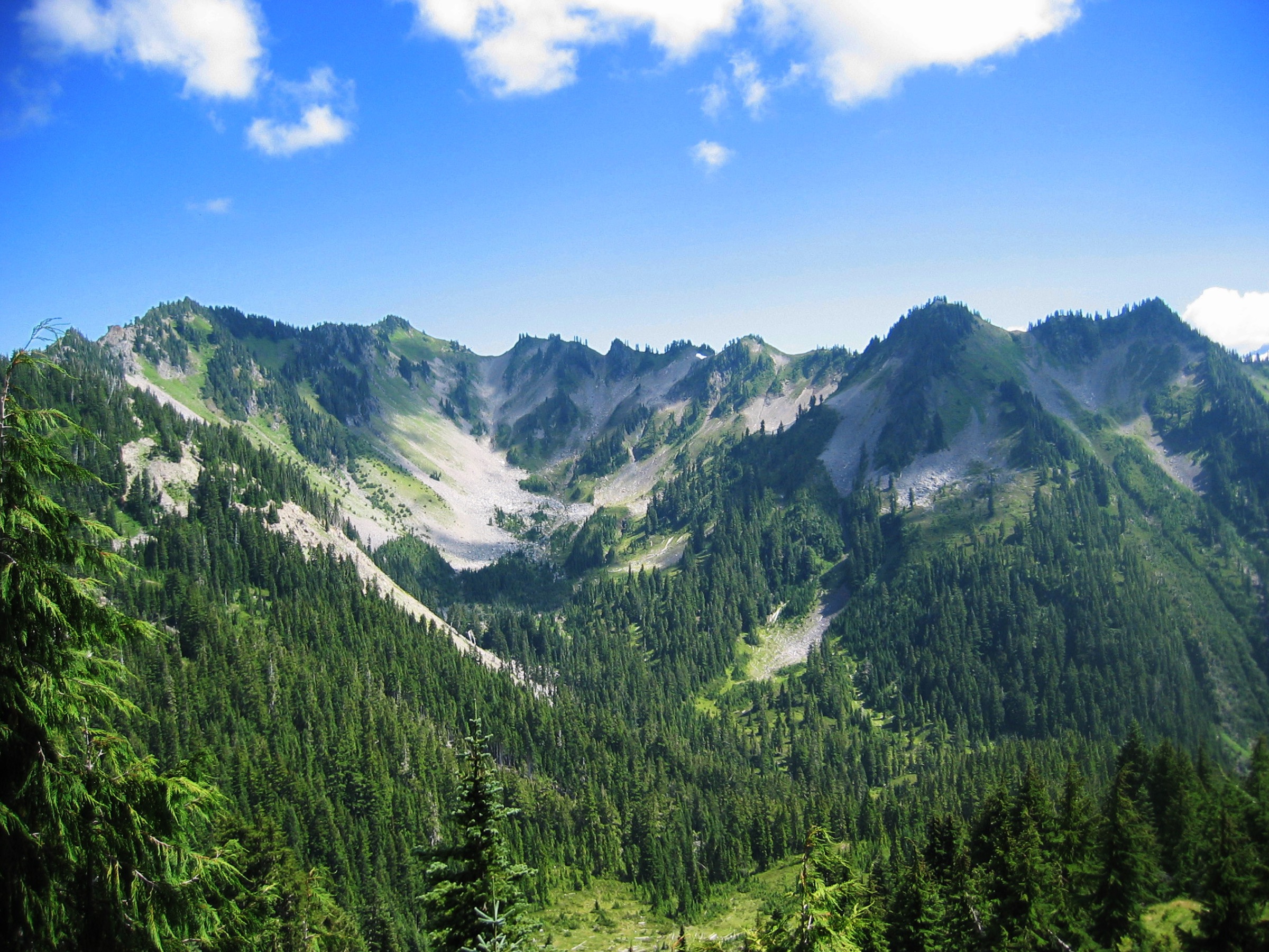 Bogachiel Peak rising above the subalpine meadows, Olympic National Park