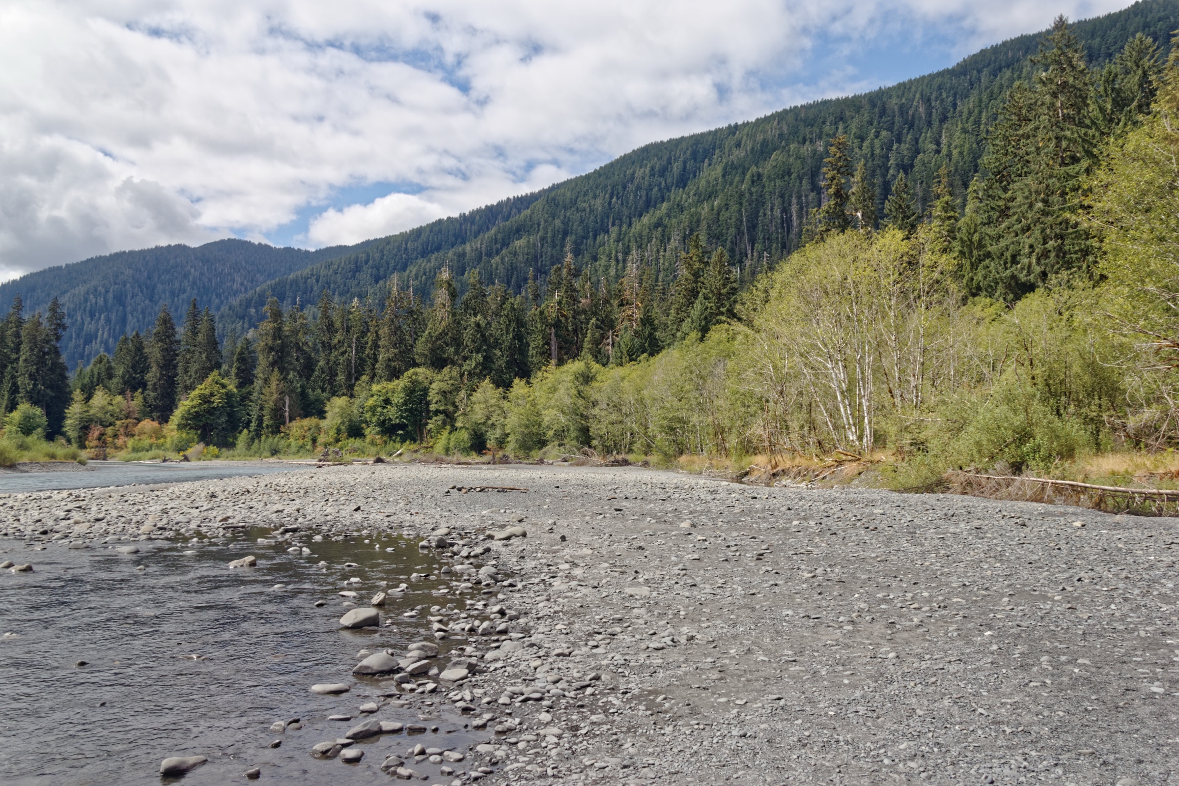 The Hoh River in the temperate rainforest, Olympic National Park
