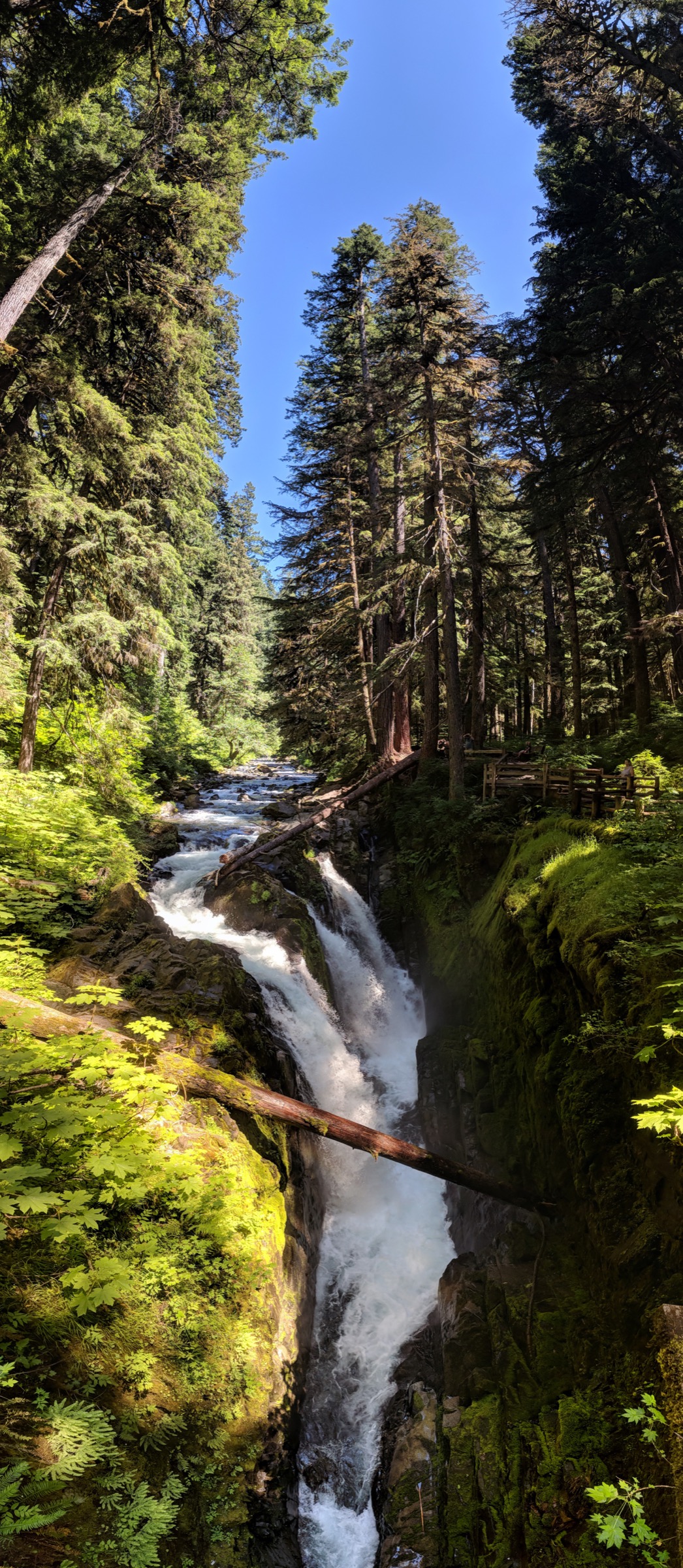 Sol Duc Falls plunging in three braided cascades under the wooden footbridge, Olympic National Park