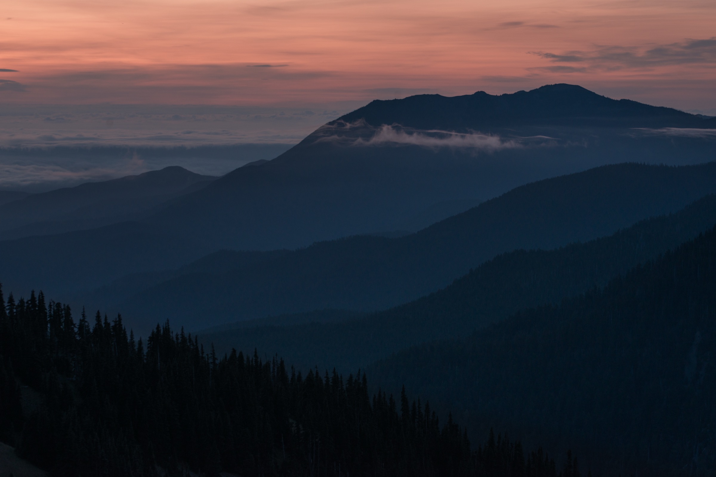 USA — Hurricane Ridge and the Northern Olympics: essential day-hikes