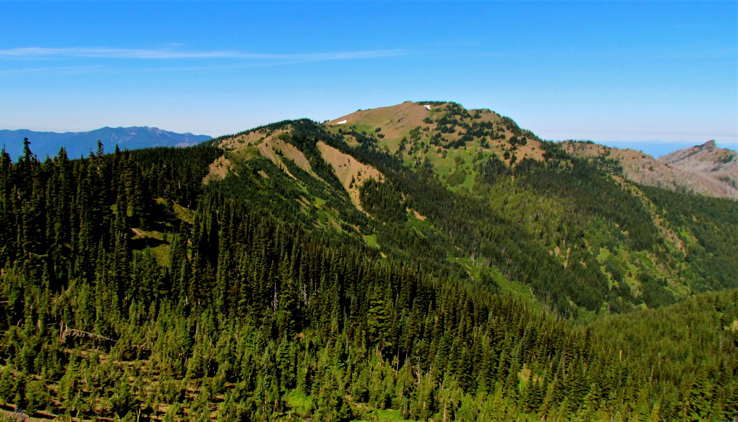 Hurricane Hill et les Olympic Mountains nord vus depuis Hurricane Ridge