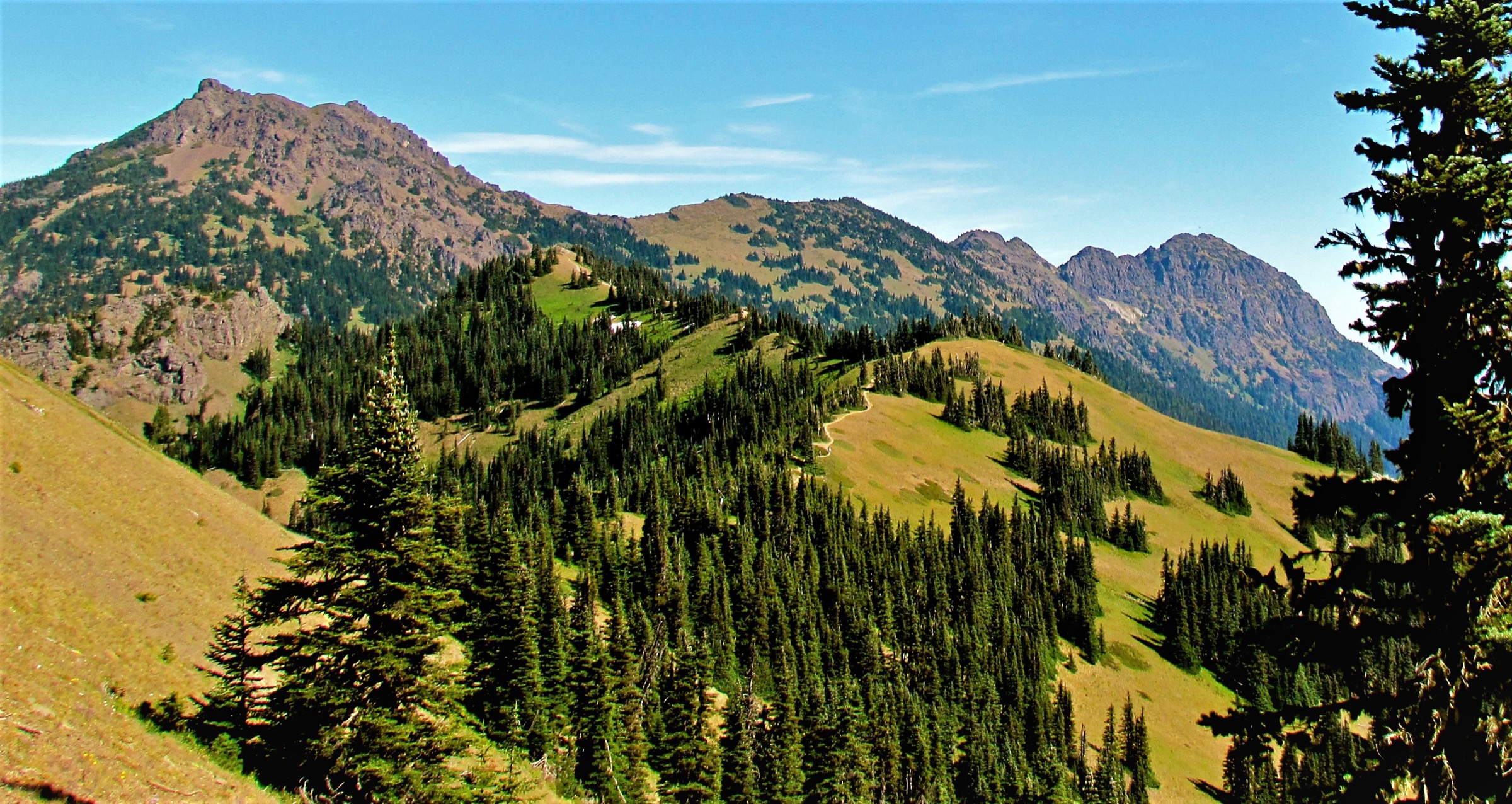 Mount Angeles et Rocky Peak vus depuis Hurricane Ridge