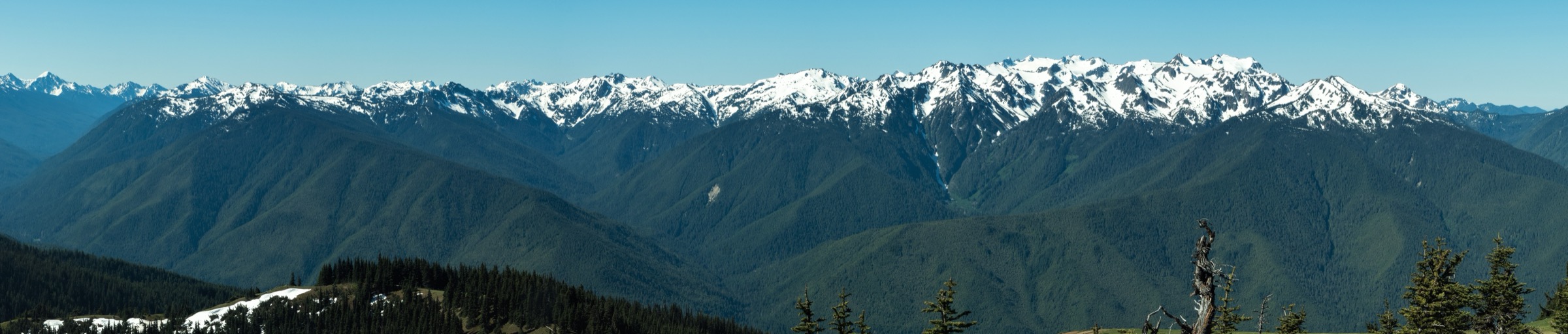 La Bailey Range vue depuis Hurricane Ridge — l'intérieur sauvage des Olympiques nord