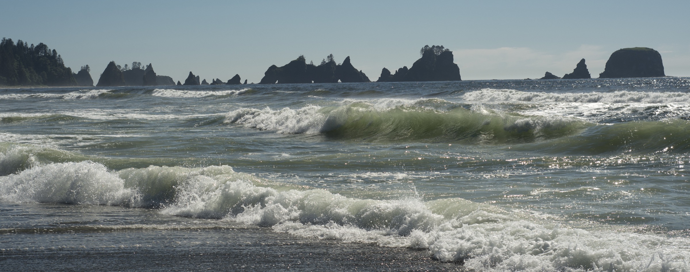 USA — Olympic Coast and rainforest valleys: essential day-hikes