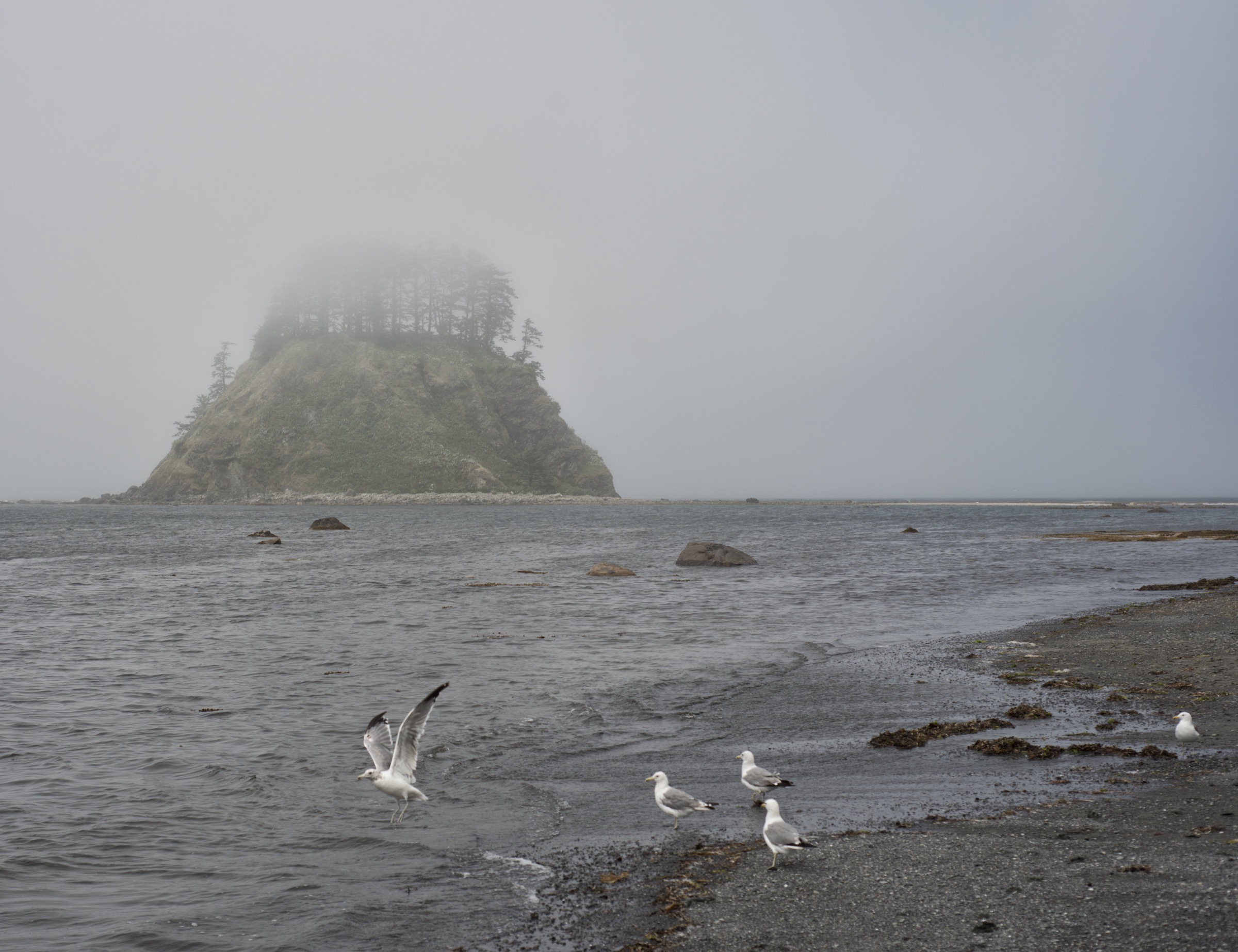 Le promontoire de Cape Alava avec Tskawahyah Island au large, Olympic National Park