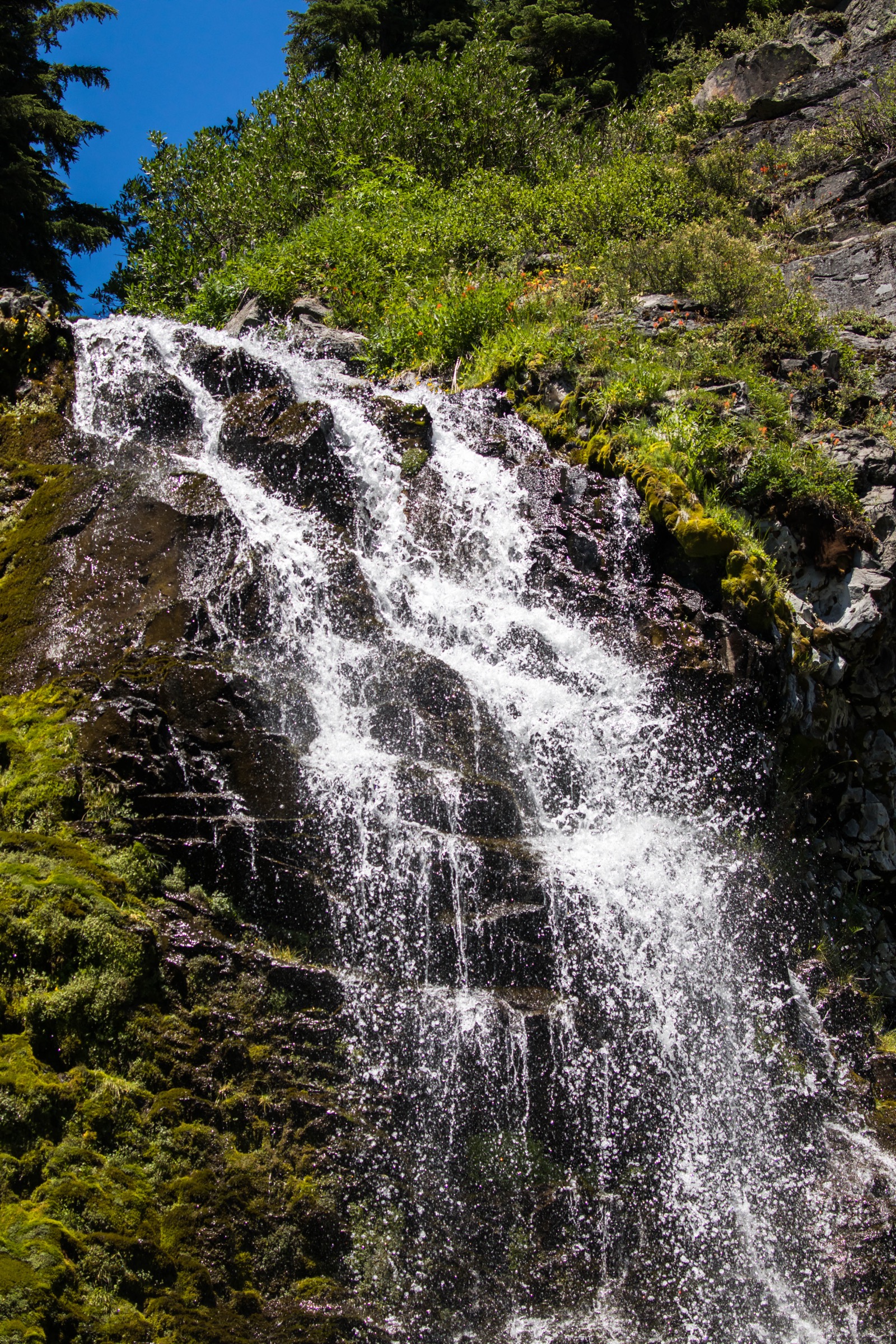 Plaikni Falls alimentée par une source de falaise creusée par les glaciers dans le parc national de Crater Lake