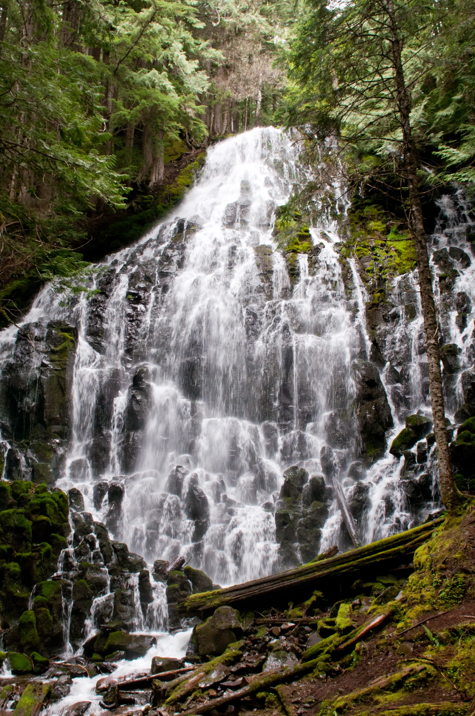 Ramona Falls en éventail sur une cascade basaltique couverte de mousse, versant ouest du mont Hood