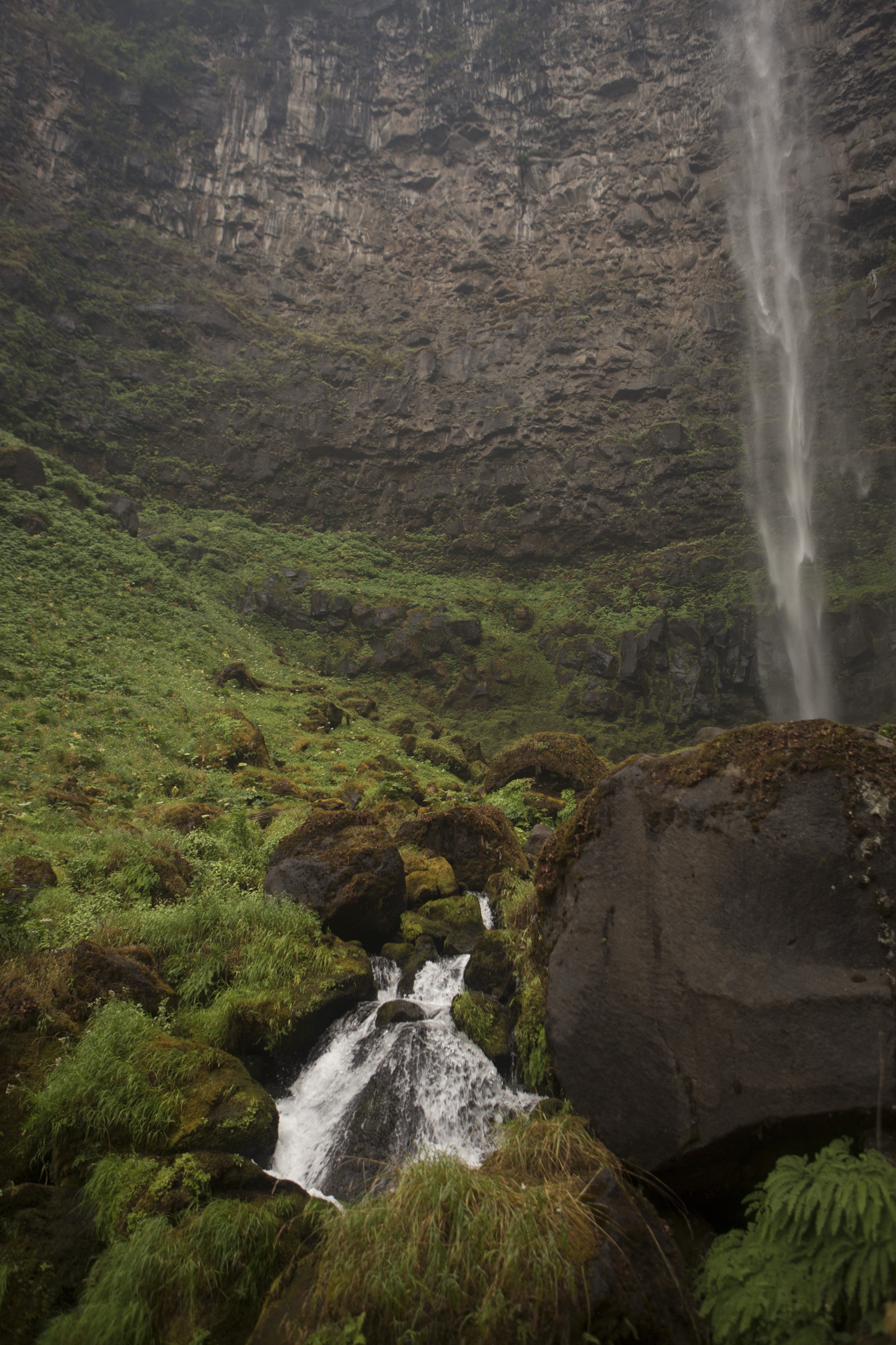 Watson Falls plunges 272 feet over a basalt cliff in the Umpqua National Forest