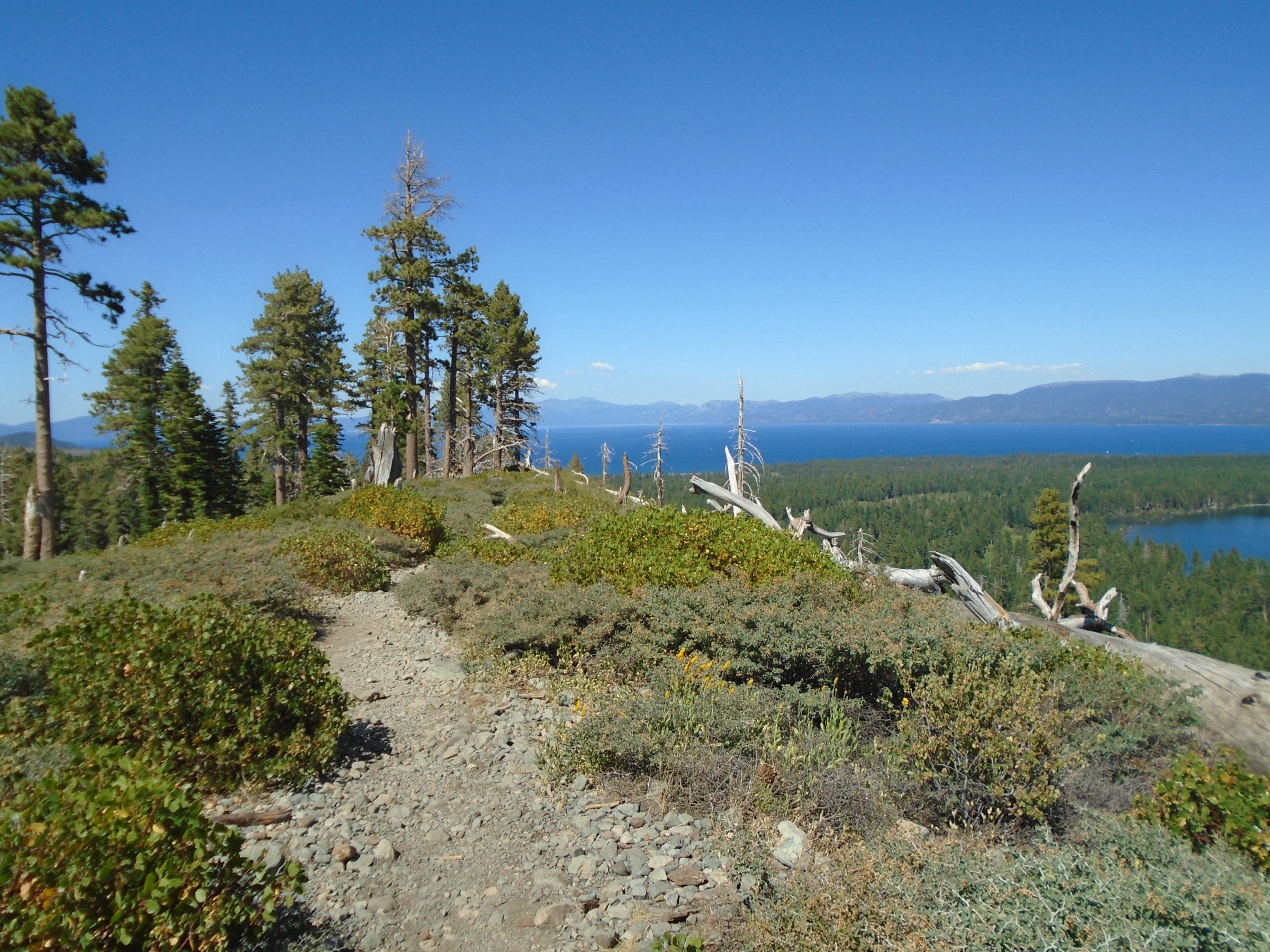 Le Mount Tallac Trail au-dessus de Fallen Leaf Lake, Desolation Wilderness, Californie
