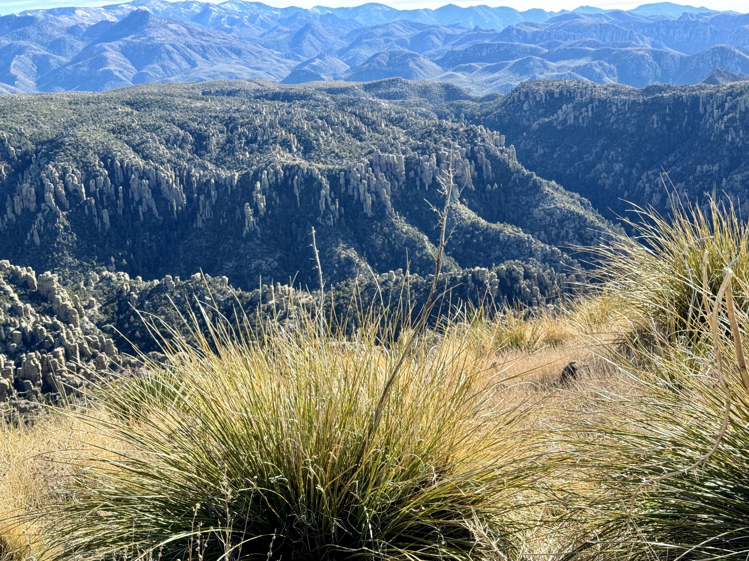 View from the Sugarloaf Mountain Trail, Chiricahua National Monument, looking across the hoodoo country