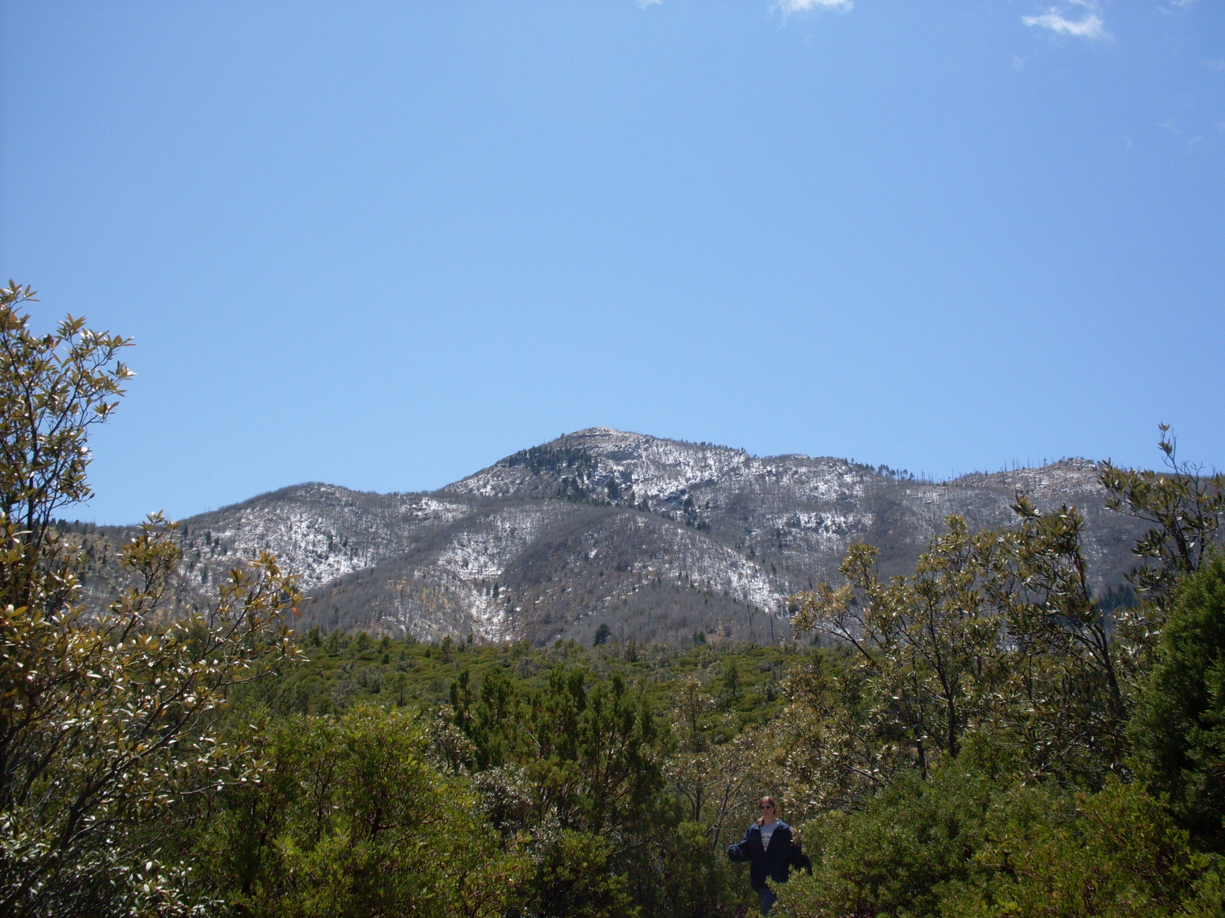 View from the Carr Peak Trail, Huachuca Mountains, Arizona