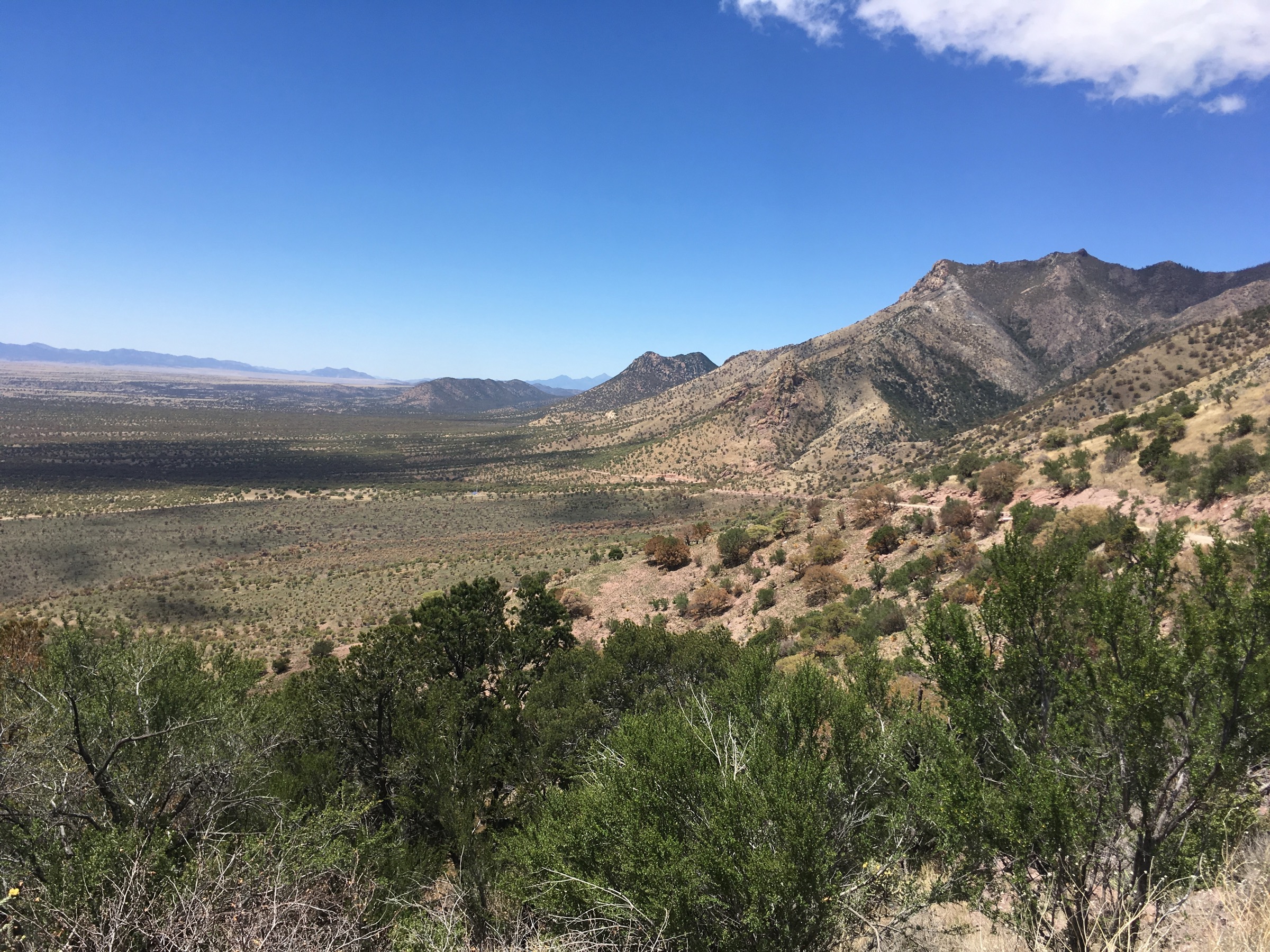 View west from Montezuma Pass toward the Miller Peak Wilderness crest, Coronado National Memorial, Arizona