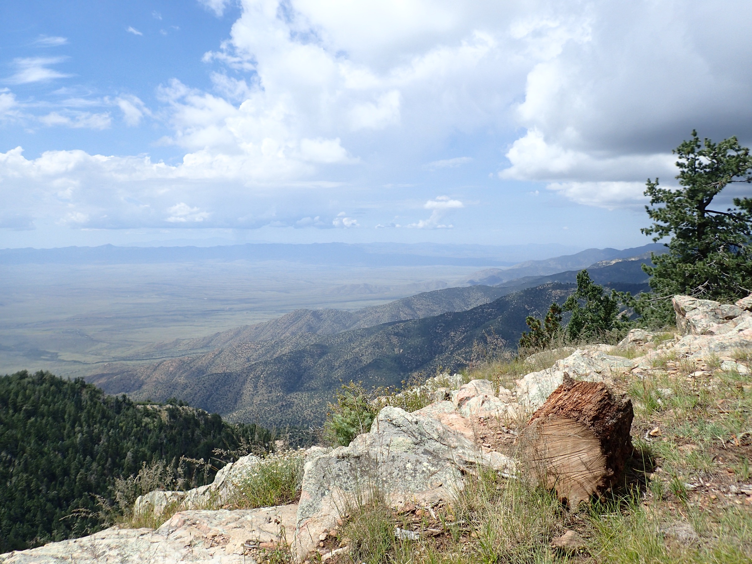 Panoramic view from the summit ridge of Mount Graham across the sky-island forests and lowland valleys