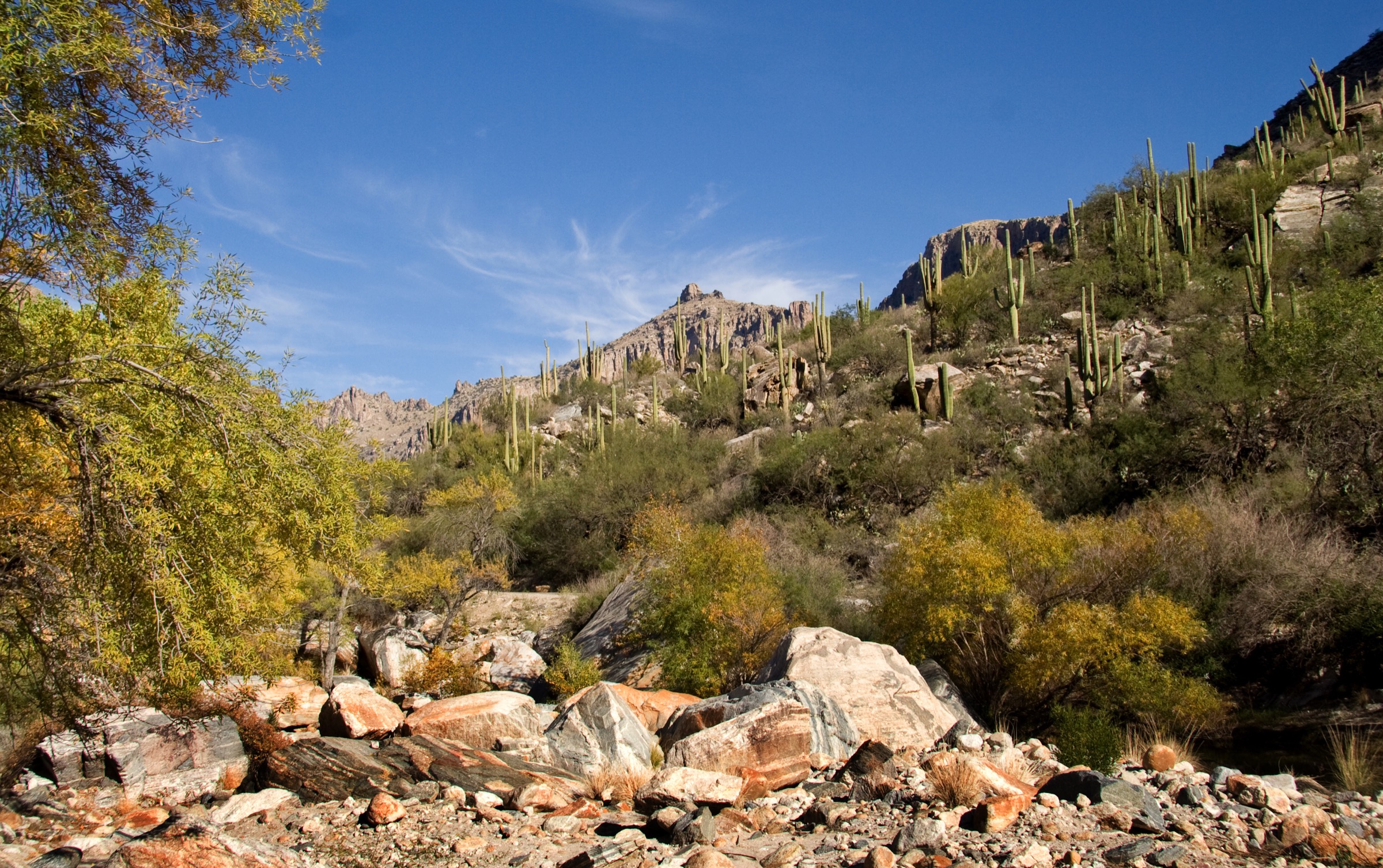 Vue de Thimble Peak depuis la zone de Blackett's Ridge au-dessus de Sabino Canyon, Santa Catalina Mountains, Arizona