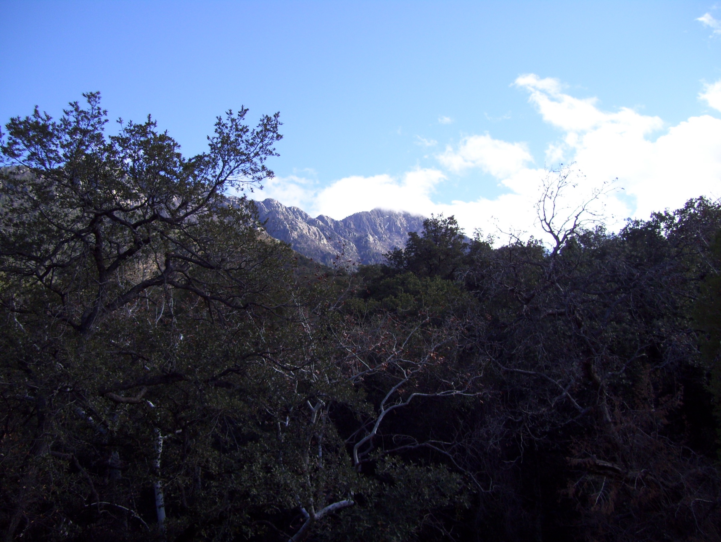 USA — Santa Rita Mountains, Arizona day-hikes