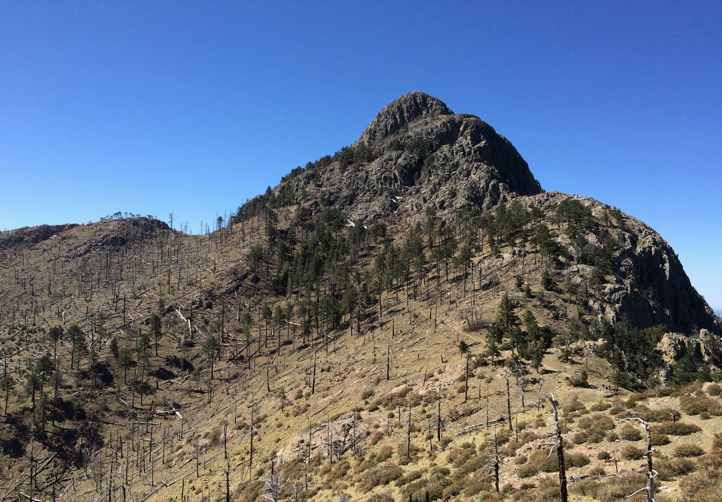 Bloc sommital du Mount Wrightson, point culminant des Santa Rita Mountains